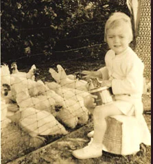 Here I am at about age three or four, having a conversation with a group of hens from Little Grandma's flock. They're crowding around me more for the corn than the company.