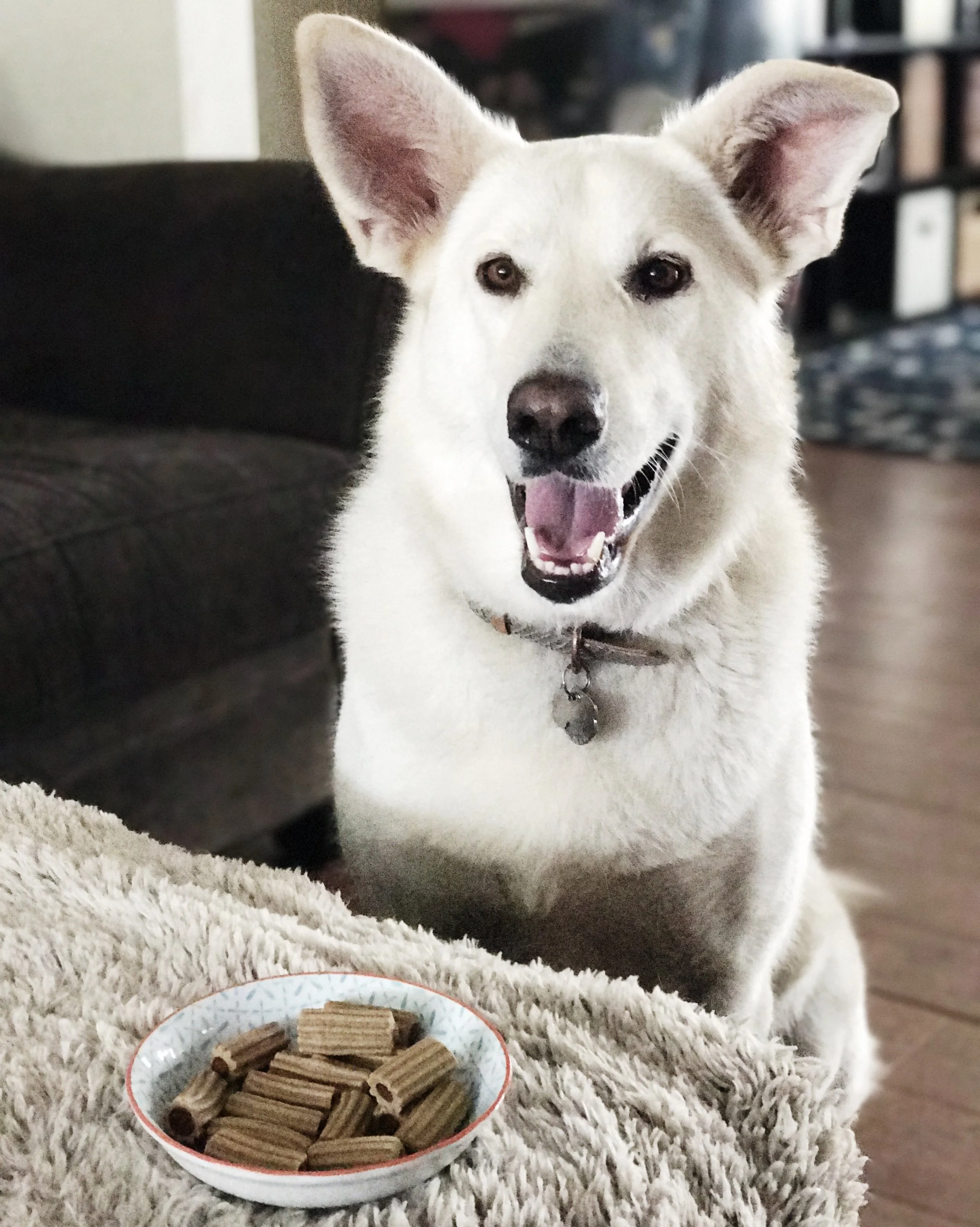 pawsta dog treats