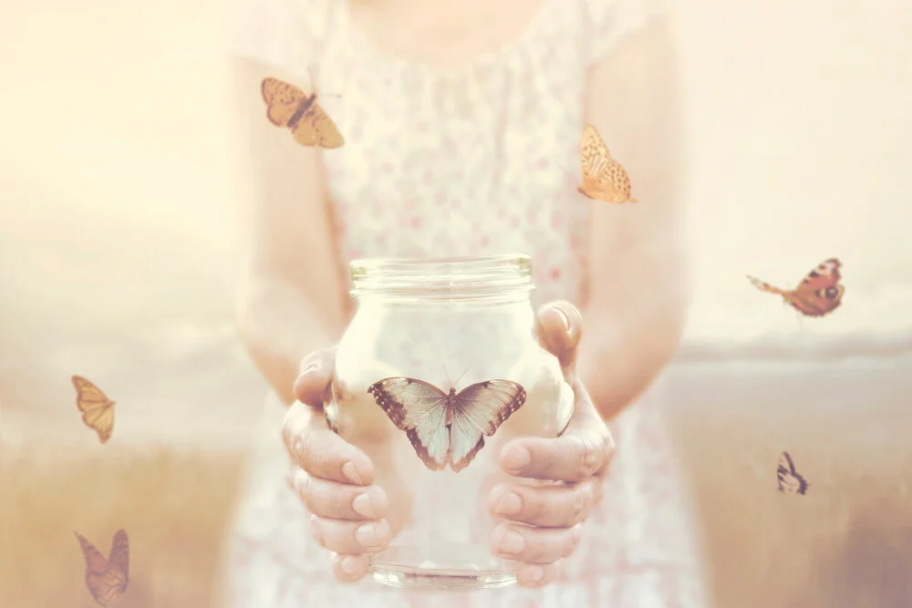 website butterfly.jpg