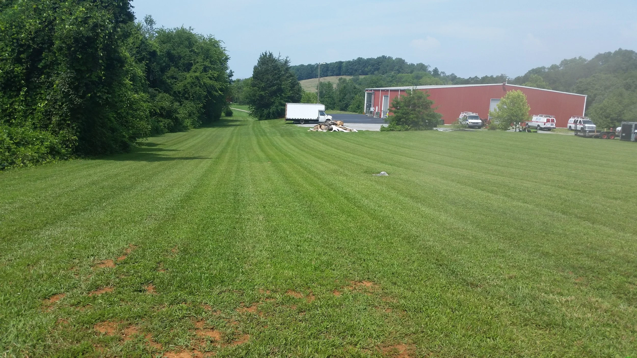 kodak mowing.jpg