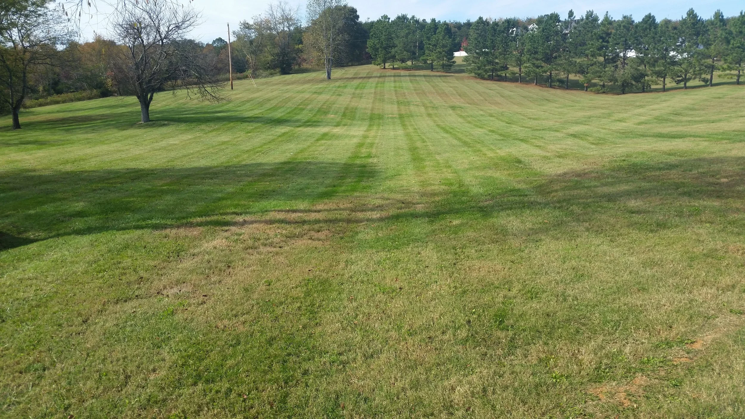 total landscaping.jpg