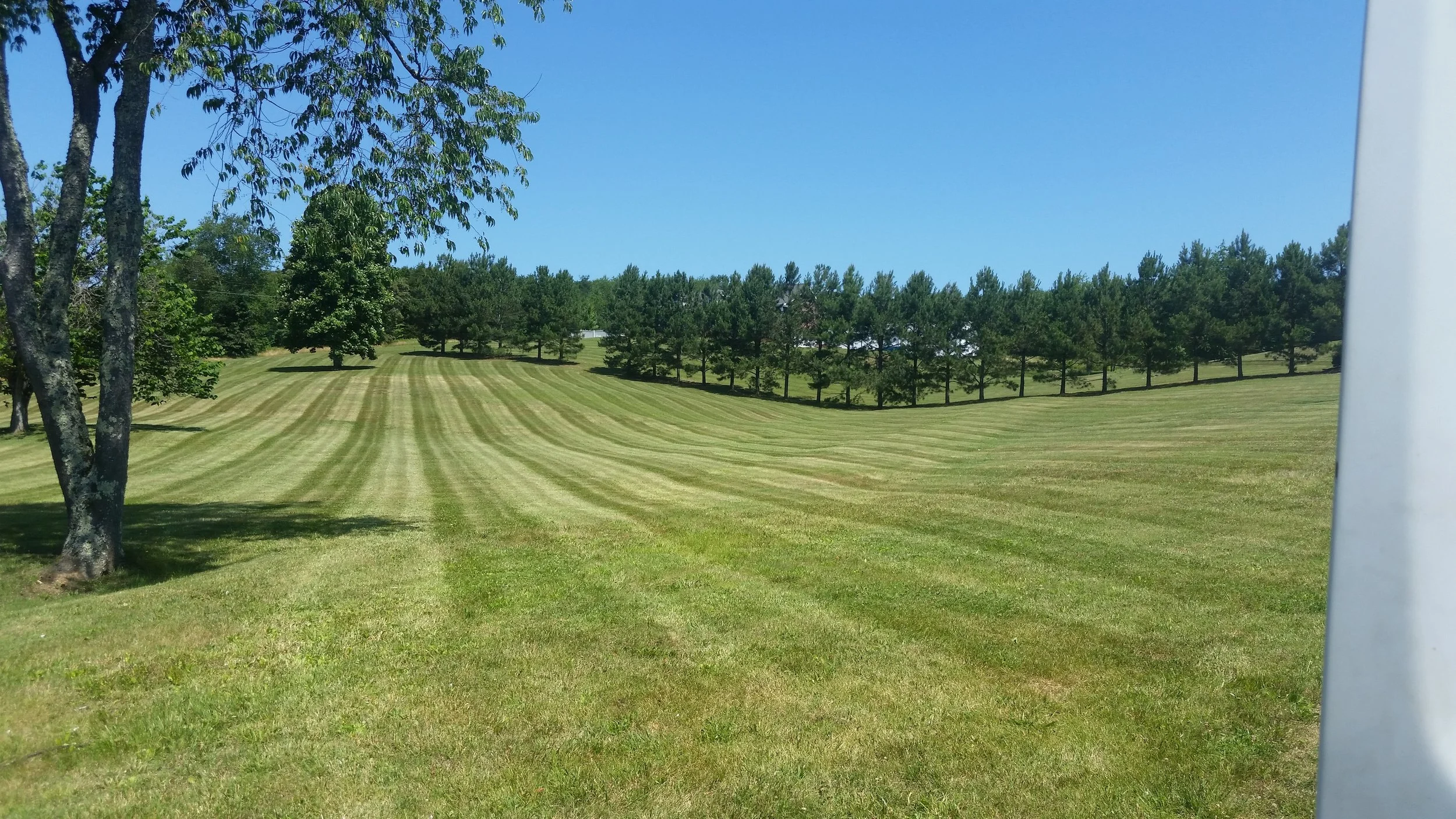 20160610_114850.jpg