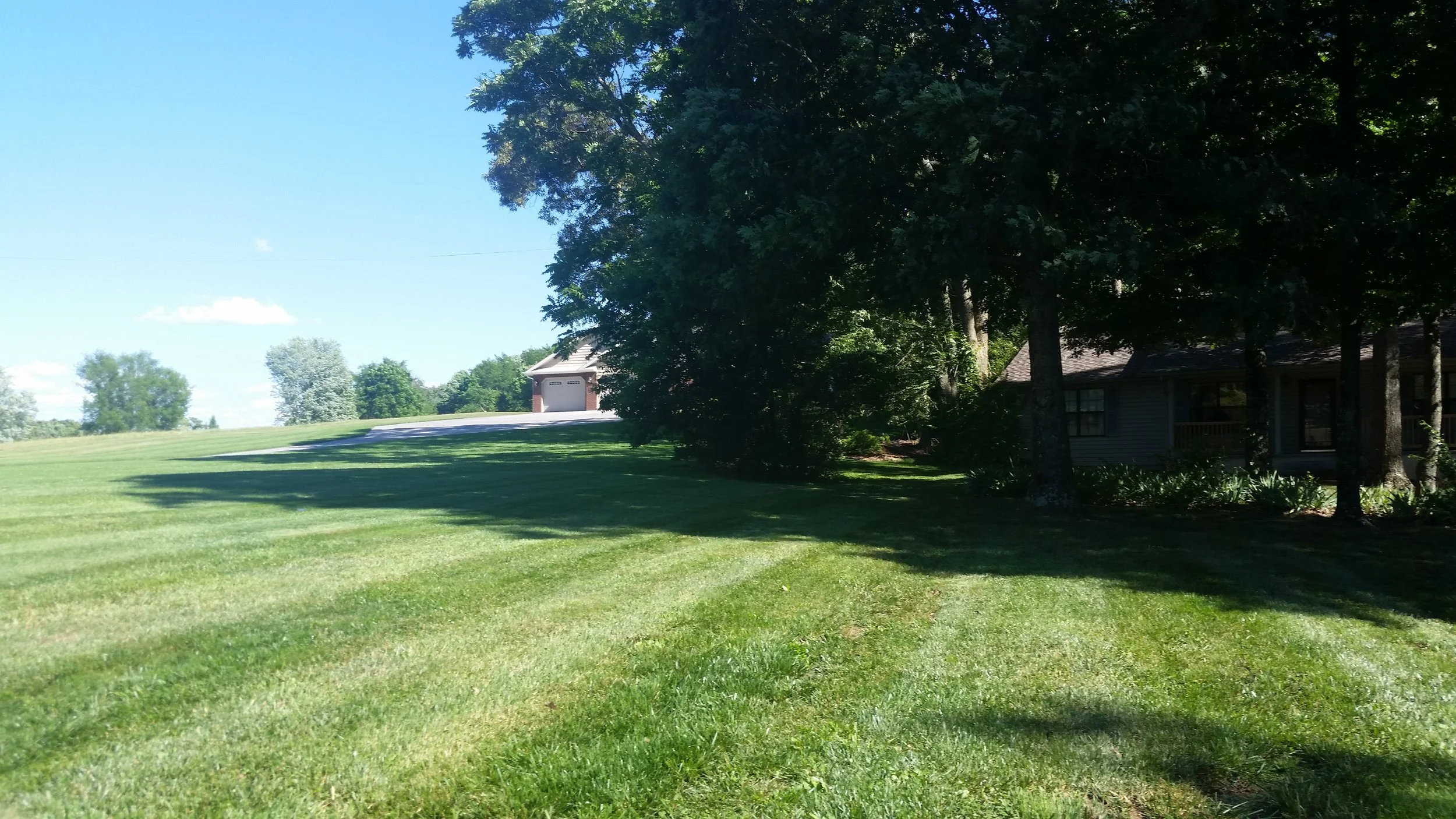 mowing kodak mowing dandridge.jpg