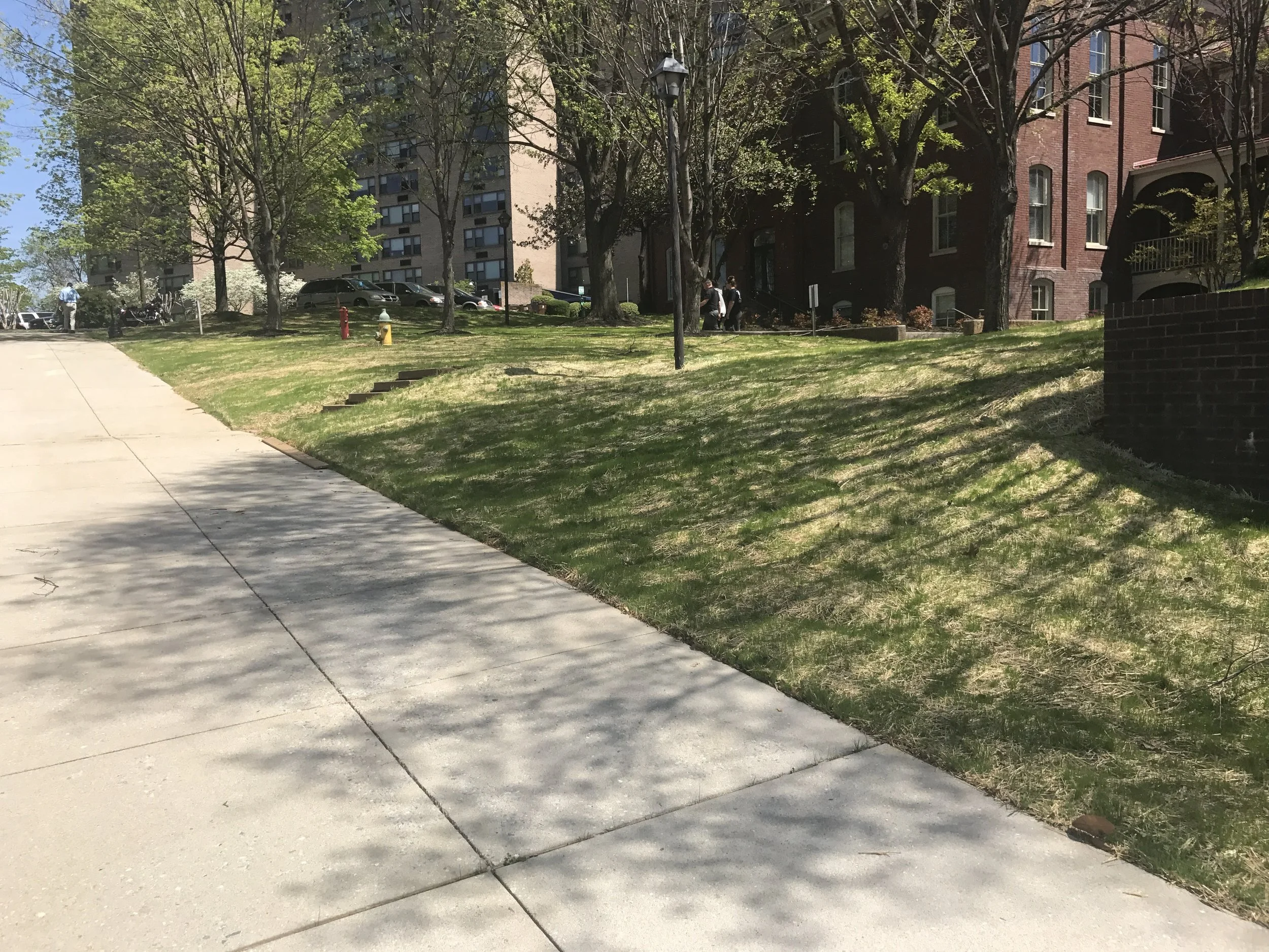 Overseeding Sevierville.jpg