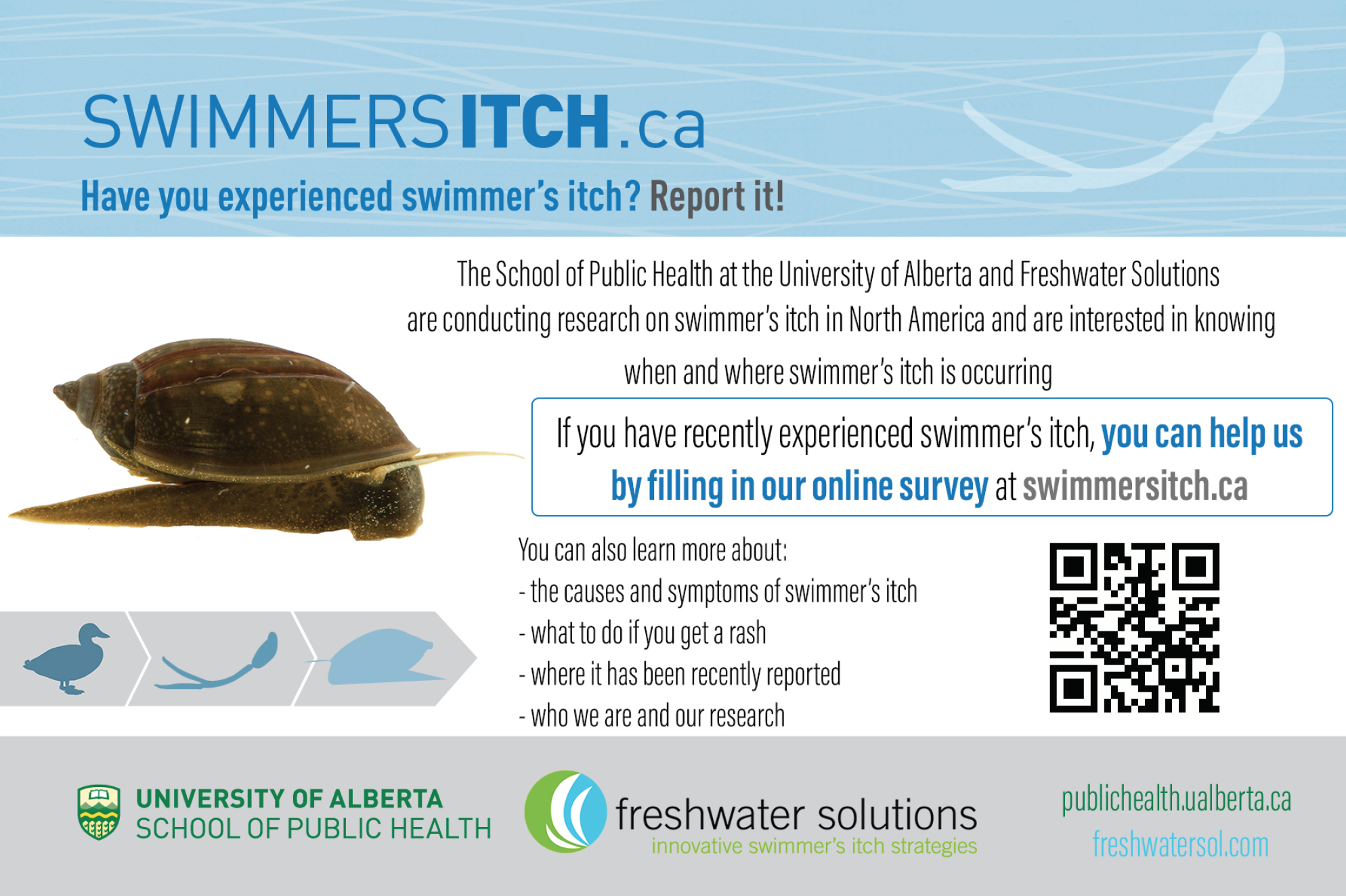 Swimmer's Itch Card.png