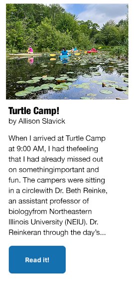 turtle camp!.jpg