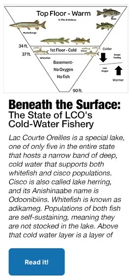#77 beneath the surface.jpg