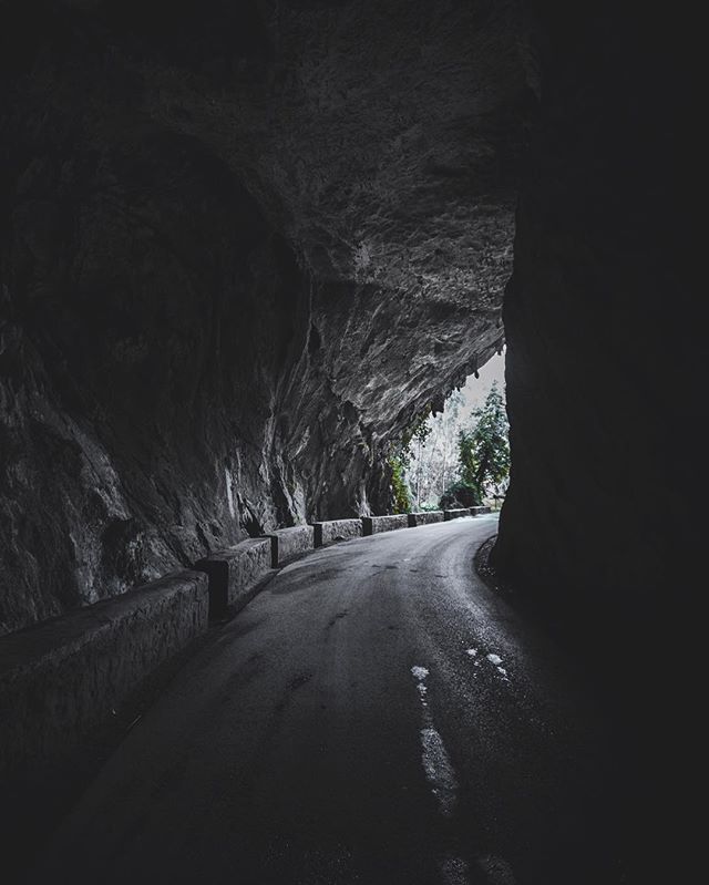 Wild roads 🌲