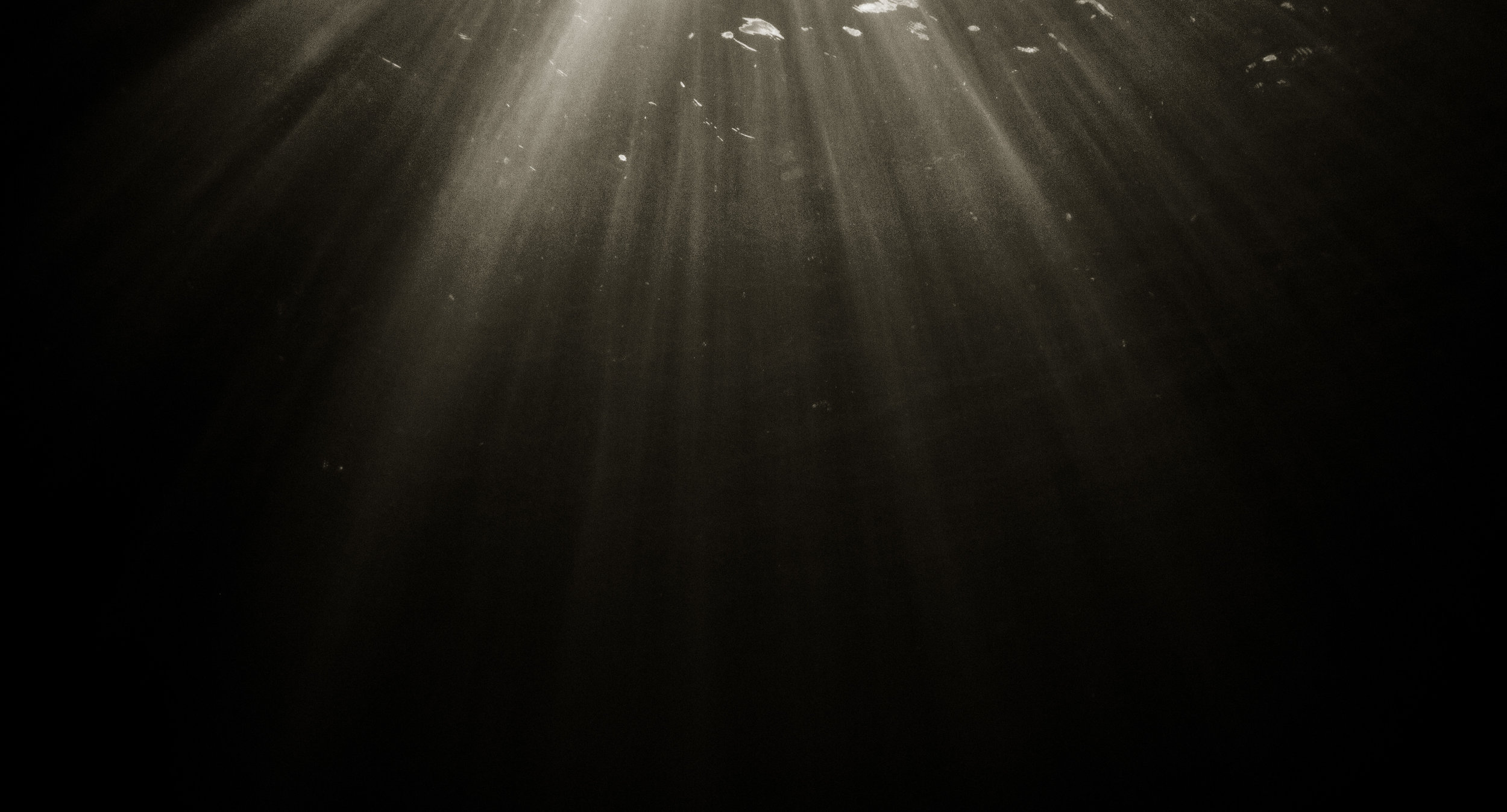 BRS_WEB_Home_BG_D03.jpg