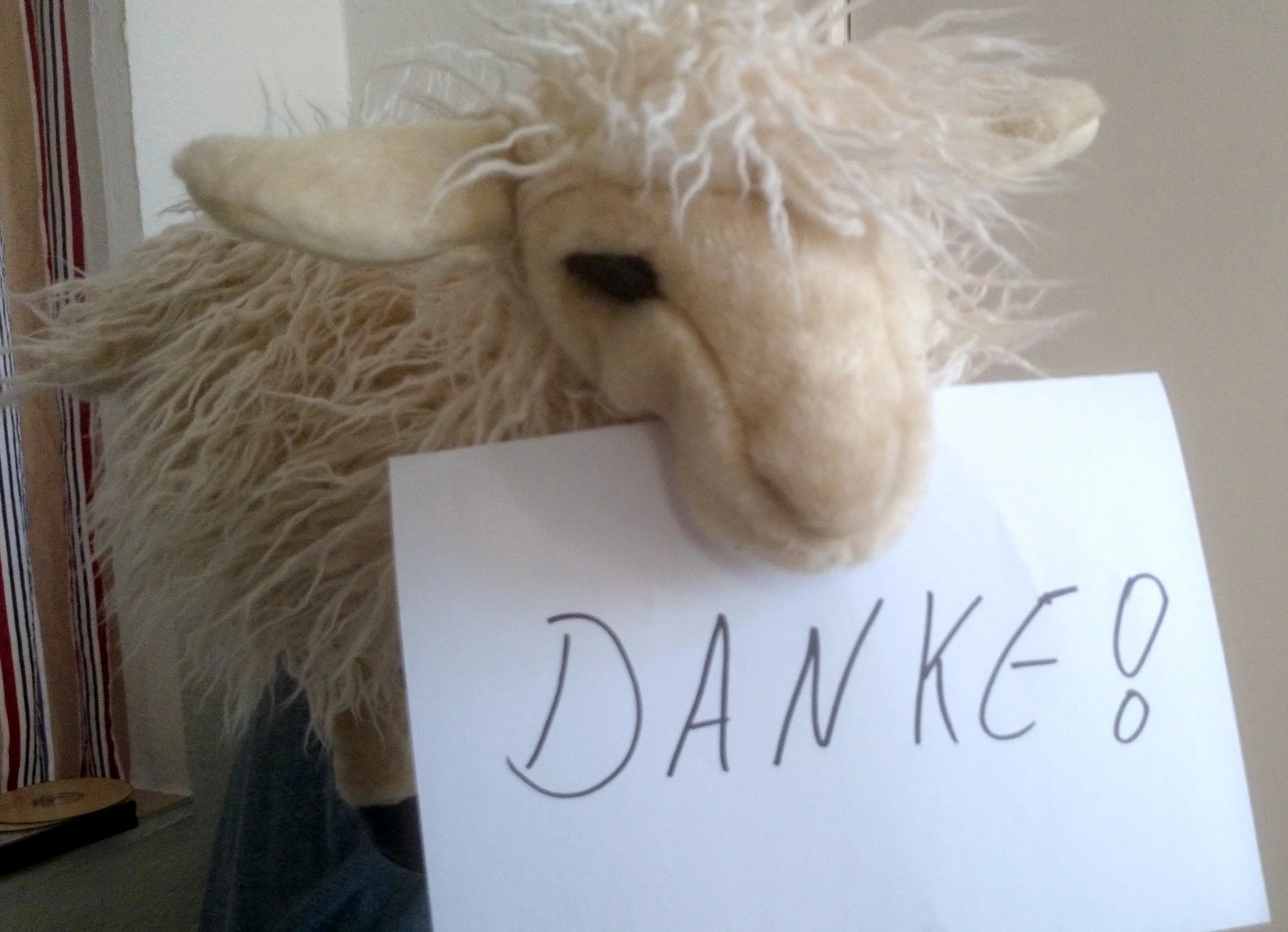 Episode 13 - 30 more high impact questions and 5 stewardship on a shoestring ideas