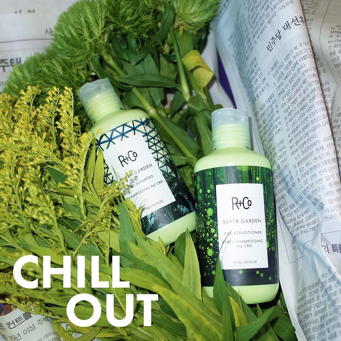 Here&rsquo;s to hoping this March is more chill than last March! 🪴 Enjoy all month long 20% off our  S U P E R G A R D E N shampoo or conditioner! 🌱