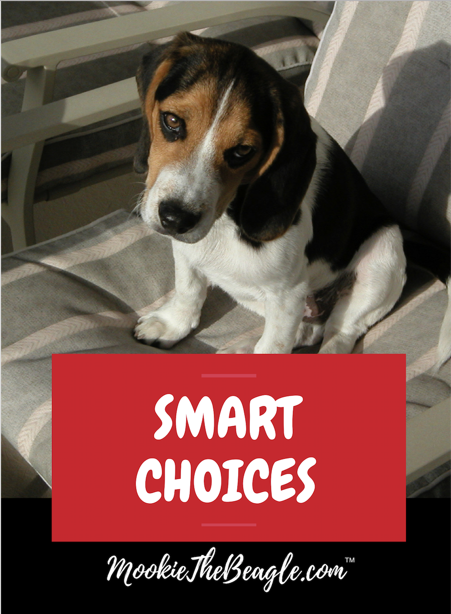 COVER Design SMART CHOICES RED BOX w RED BACKGROUND.png