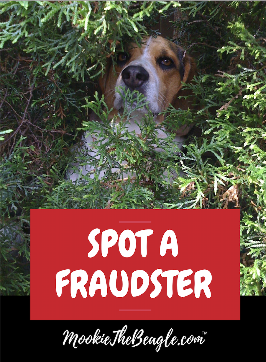 COVER Design SPOT A FRAUDSTER RED BOX.png