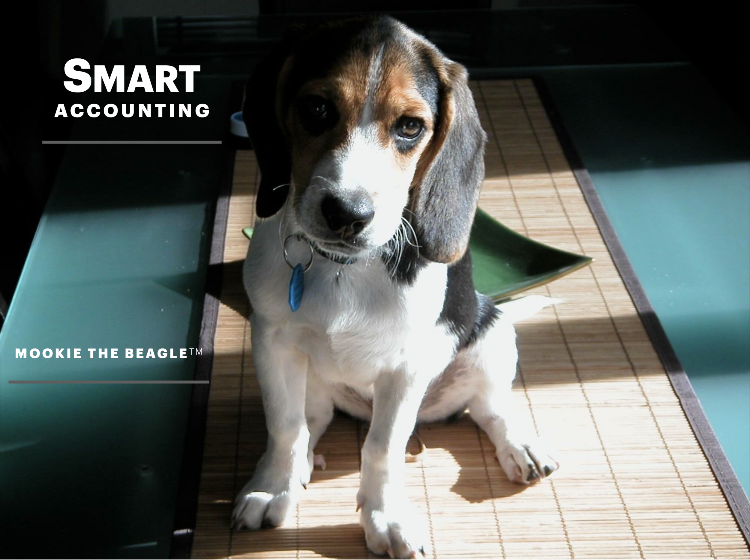 MOOKIE THE BEAGLE SMART ACCOUNTING 2E COVER.png