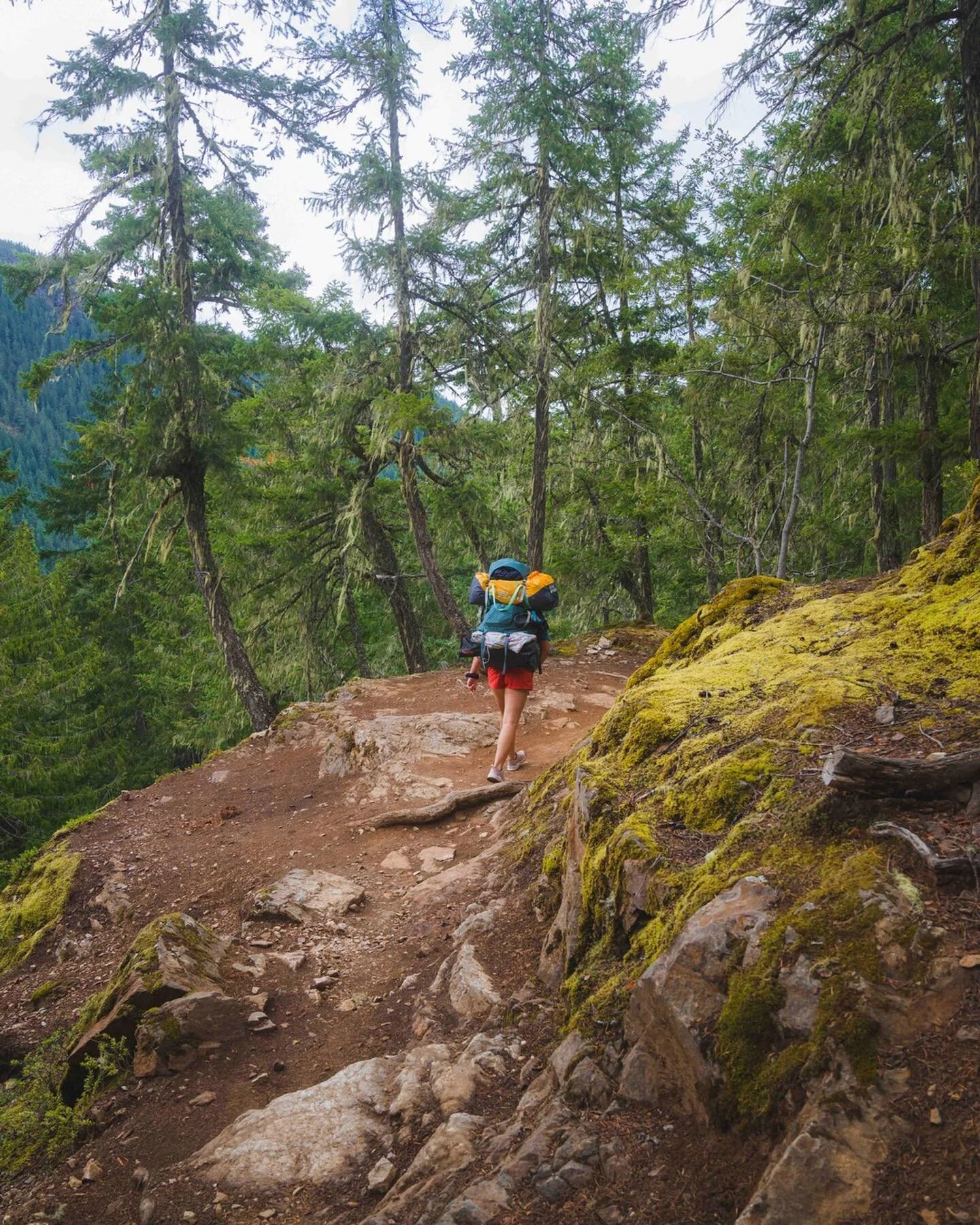 A project I did for @thelandmarkproject this past summer. My favorite projects are always the ones where the guidance is to just get outside in your favorite way.

Slide 2 and 9 shows that we didn&rsquo;t have our backpacking tent with us.. but that 