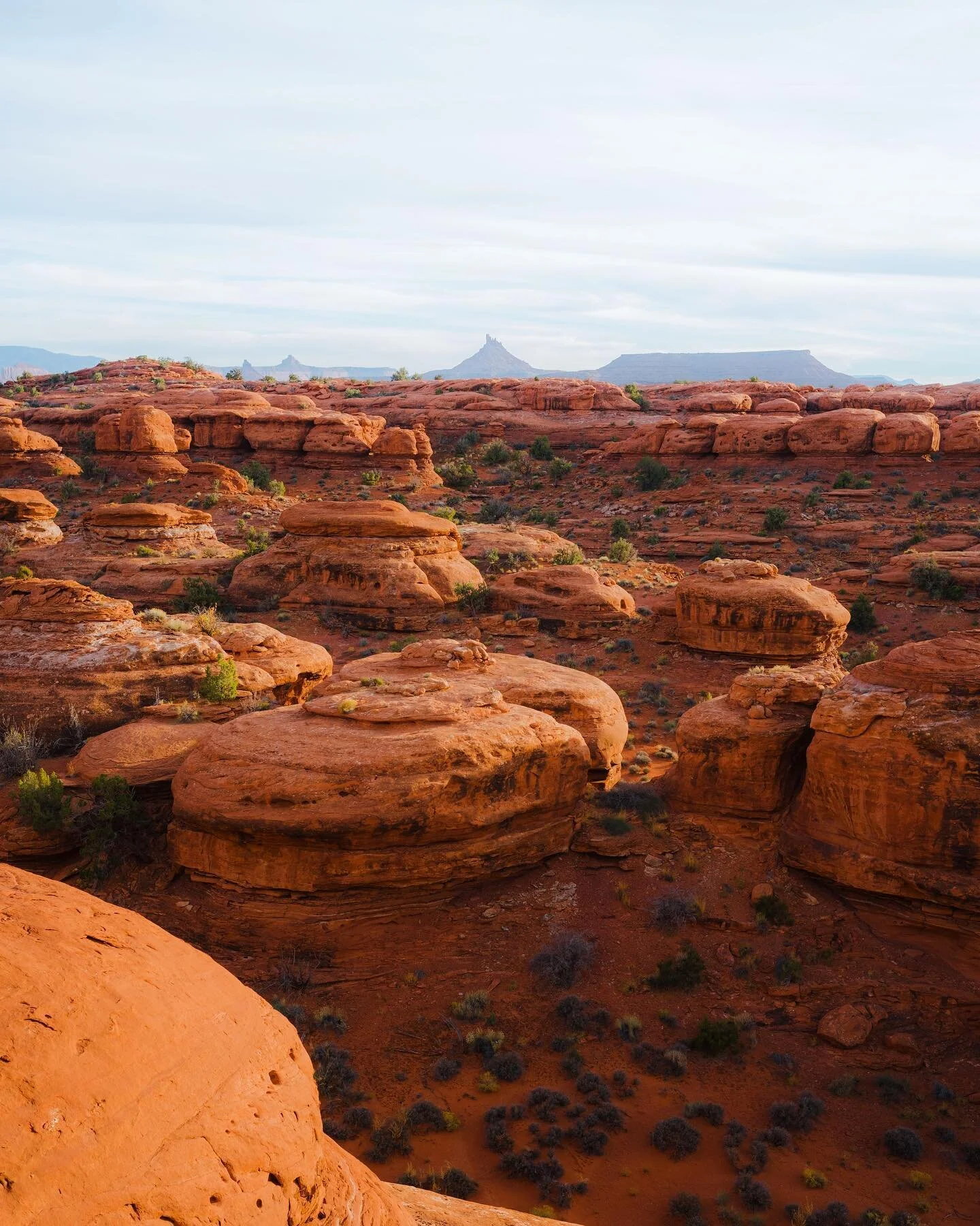 Following our friends in the desert, off a trail through a dried up creek, scrambling to get on the highest rock around was how this memory was made. 

I always thought the idea of Leave No Trace (going off trail in this instance) was a strict standa