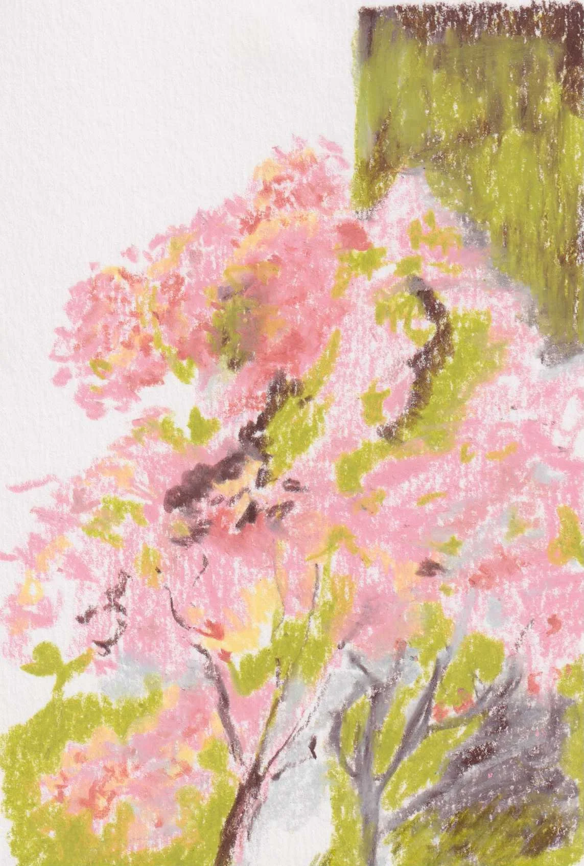 Sketch_花宅_Web-q50-Flower-02.jpg