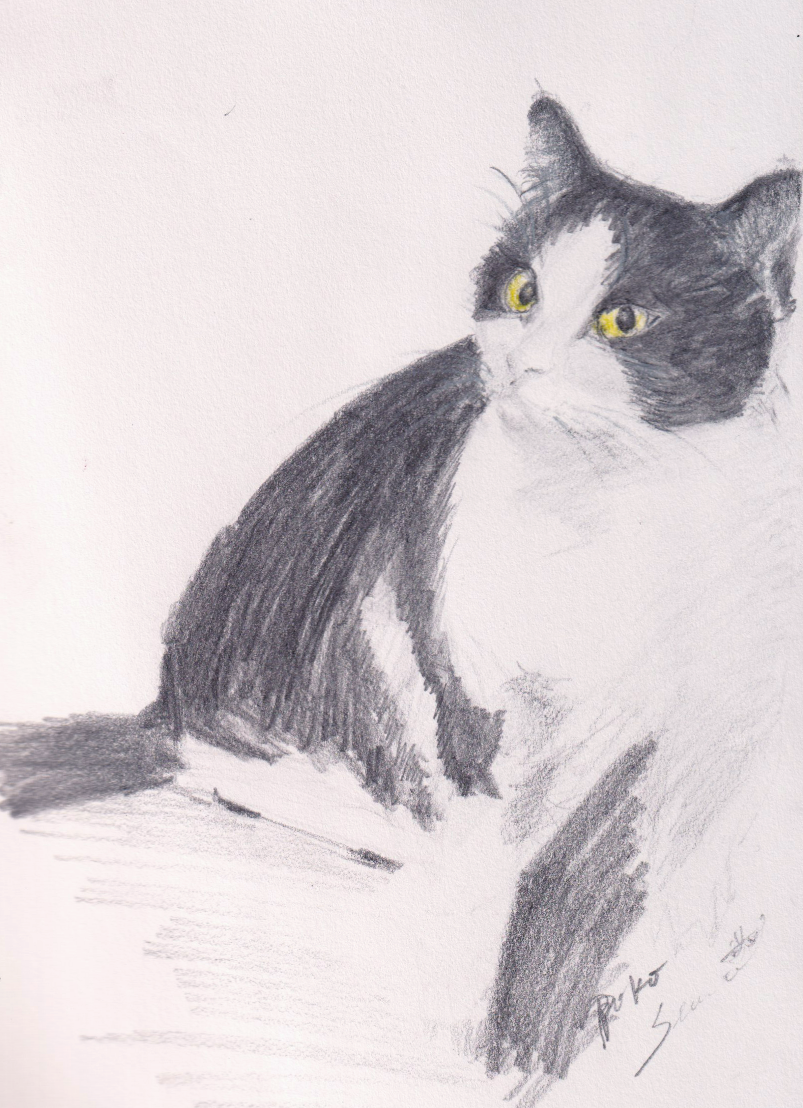 Sketch_0004.png