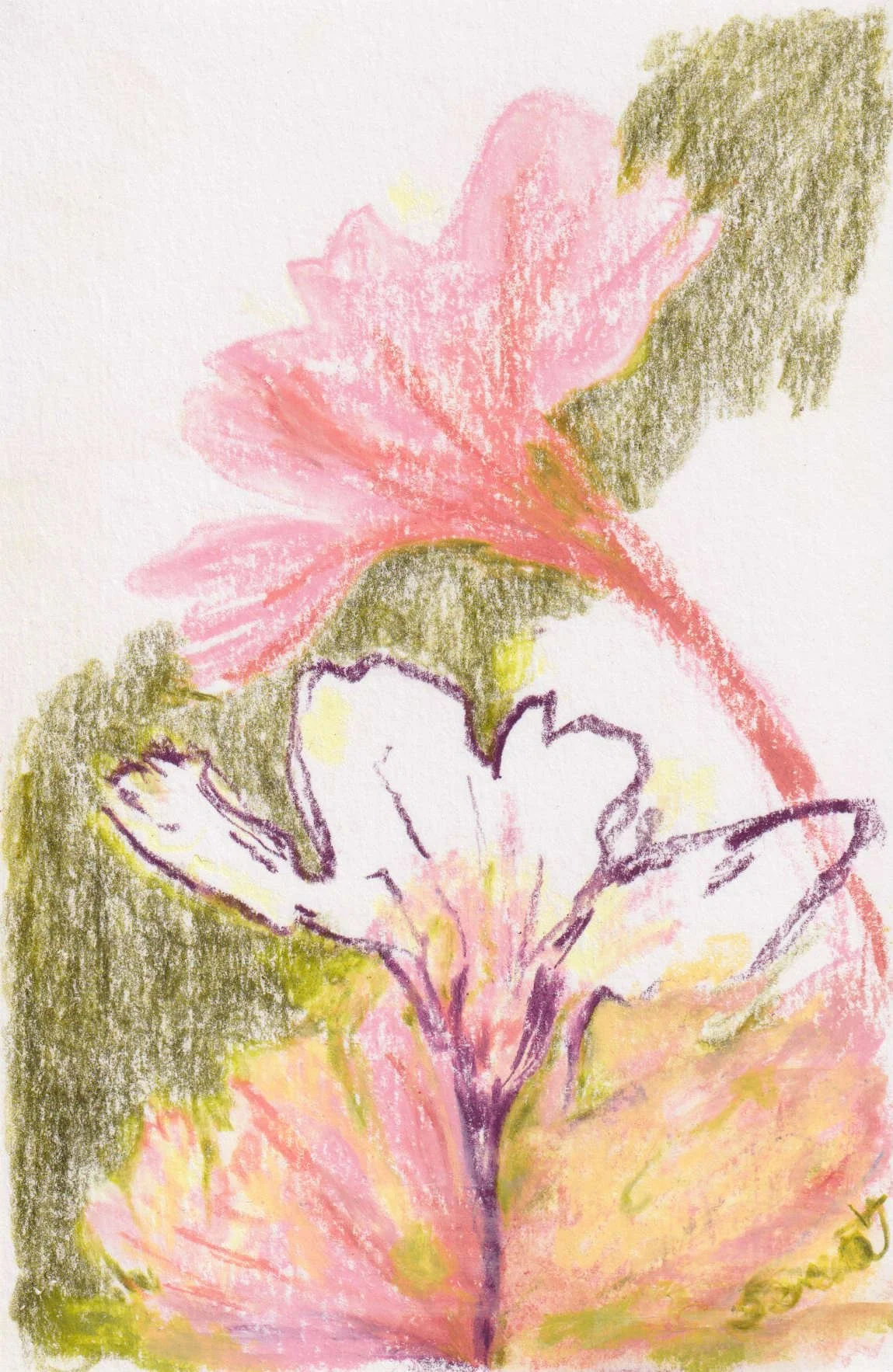 Sketch_花宅_Web-q50-Flower-01.jpg
