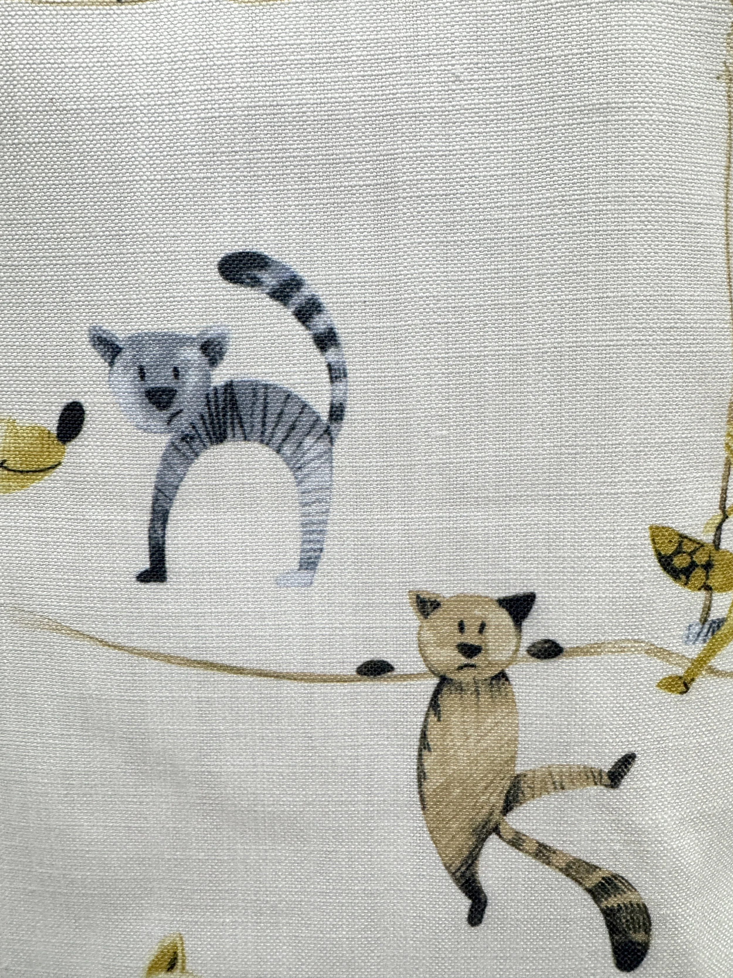 dogs and cats on white close-up 02.jpg