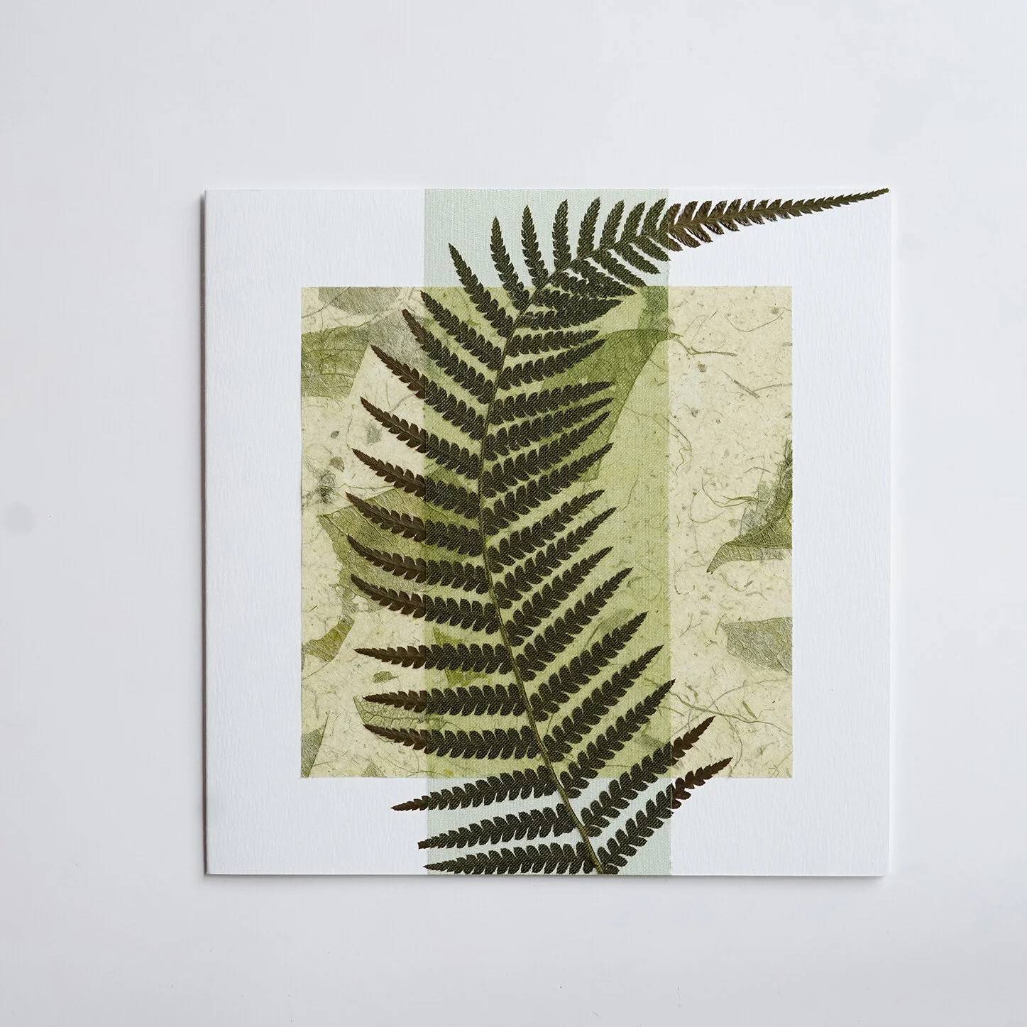 Natural Card _ Fern on Green 01a.jpg
