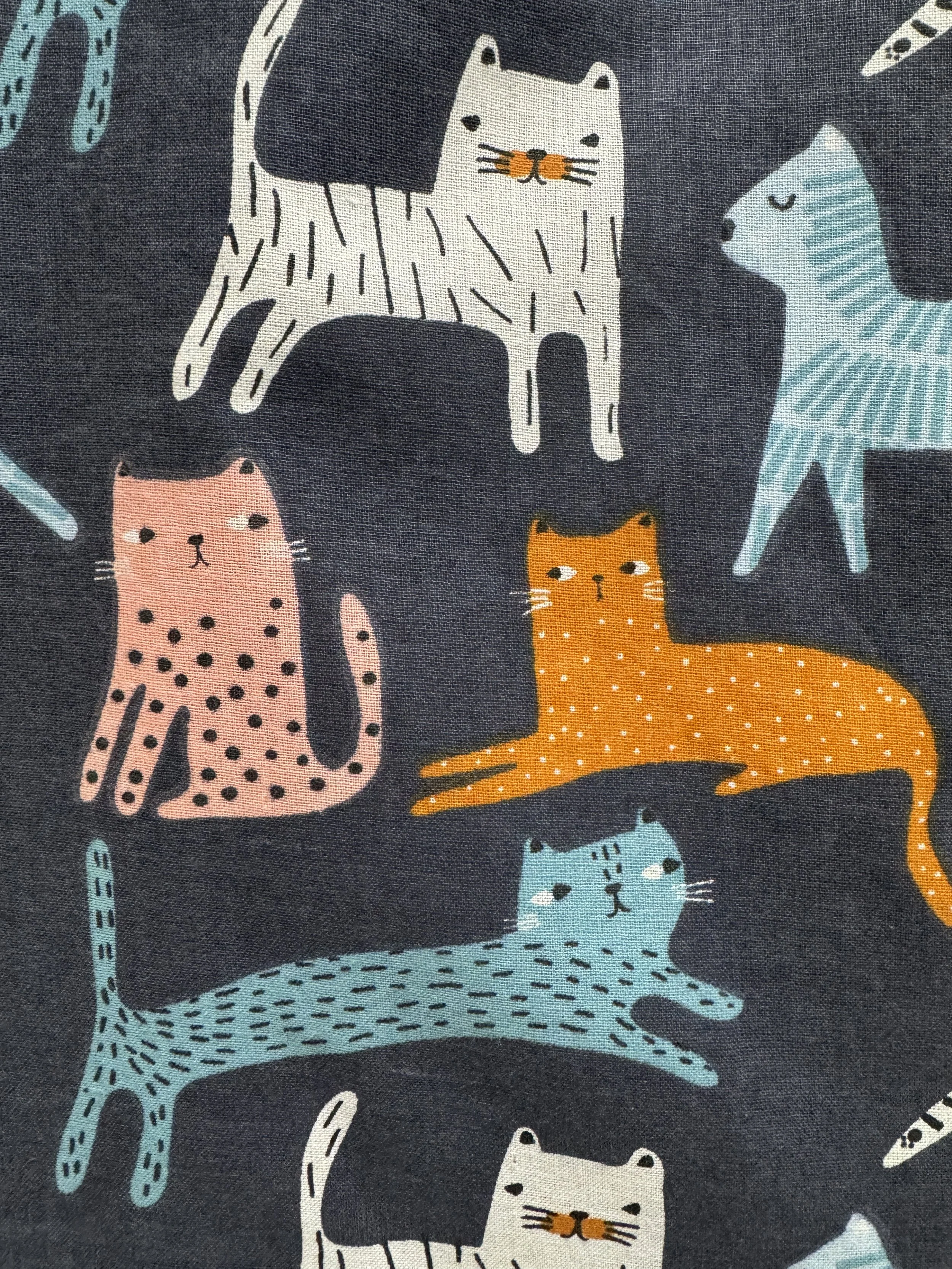 cats on blue close-up 02.jpg