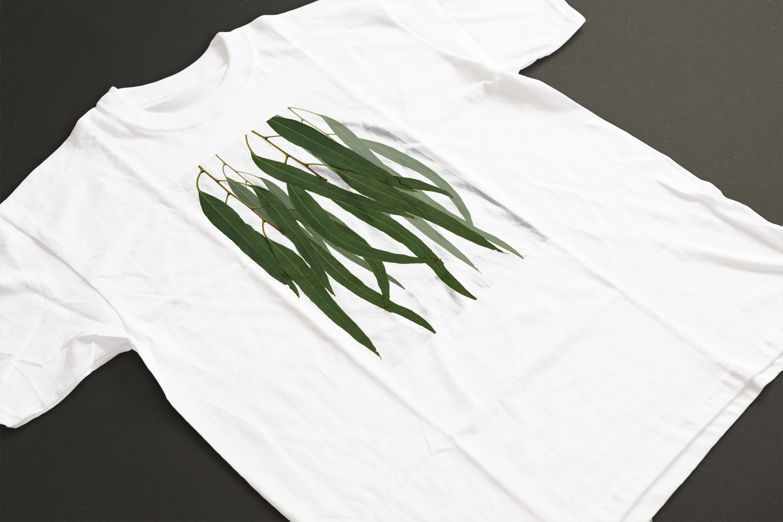 GREEN GUM LEAVES 01.jpg