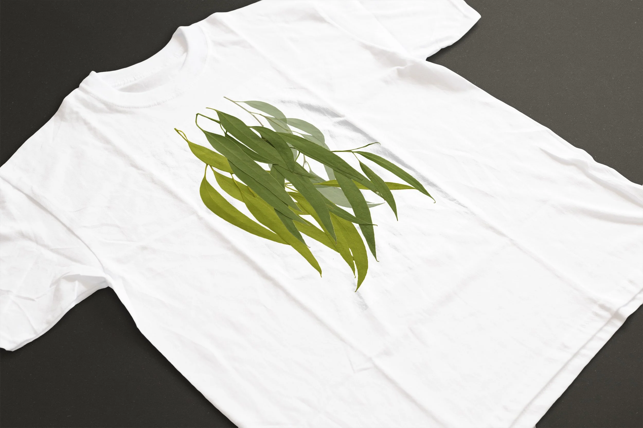 GREEN GUM LEAVES 02.jpg