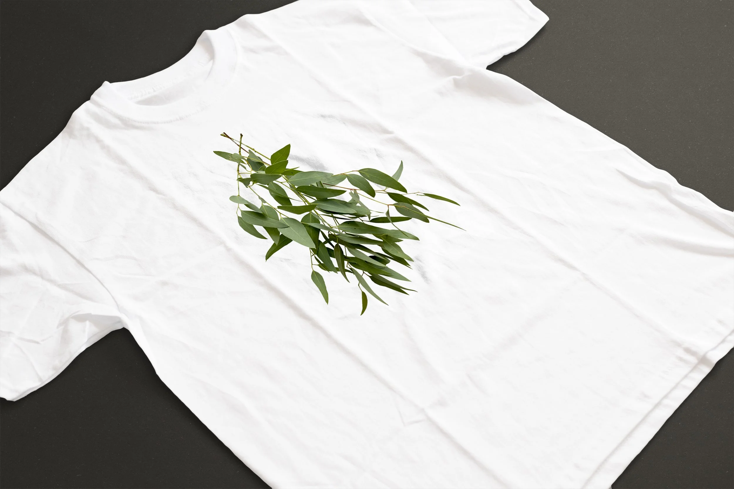 GREEN GUM LEAVES 05.jpg