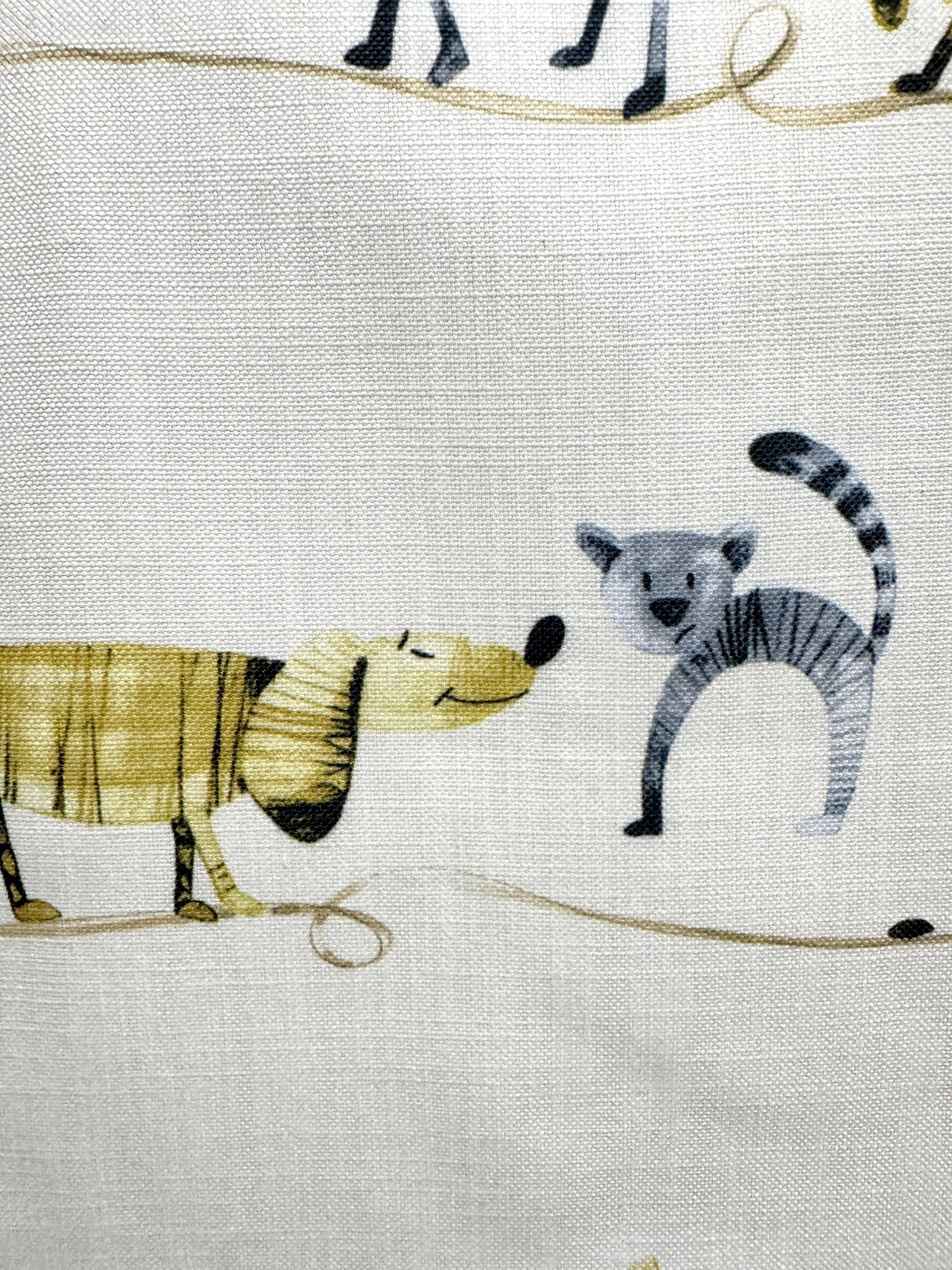 dogs and cats on white close-up 01.jpg