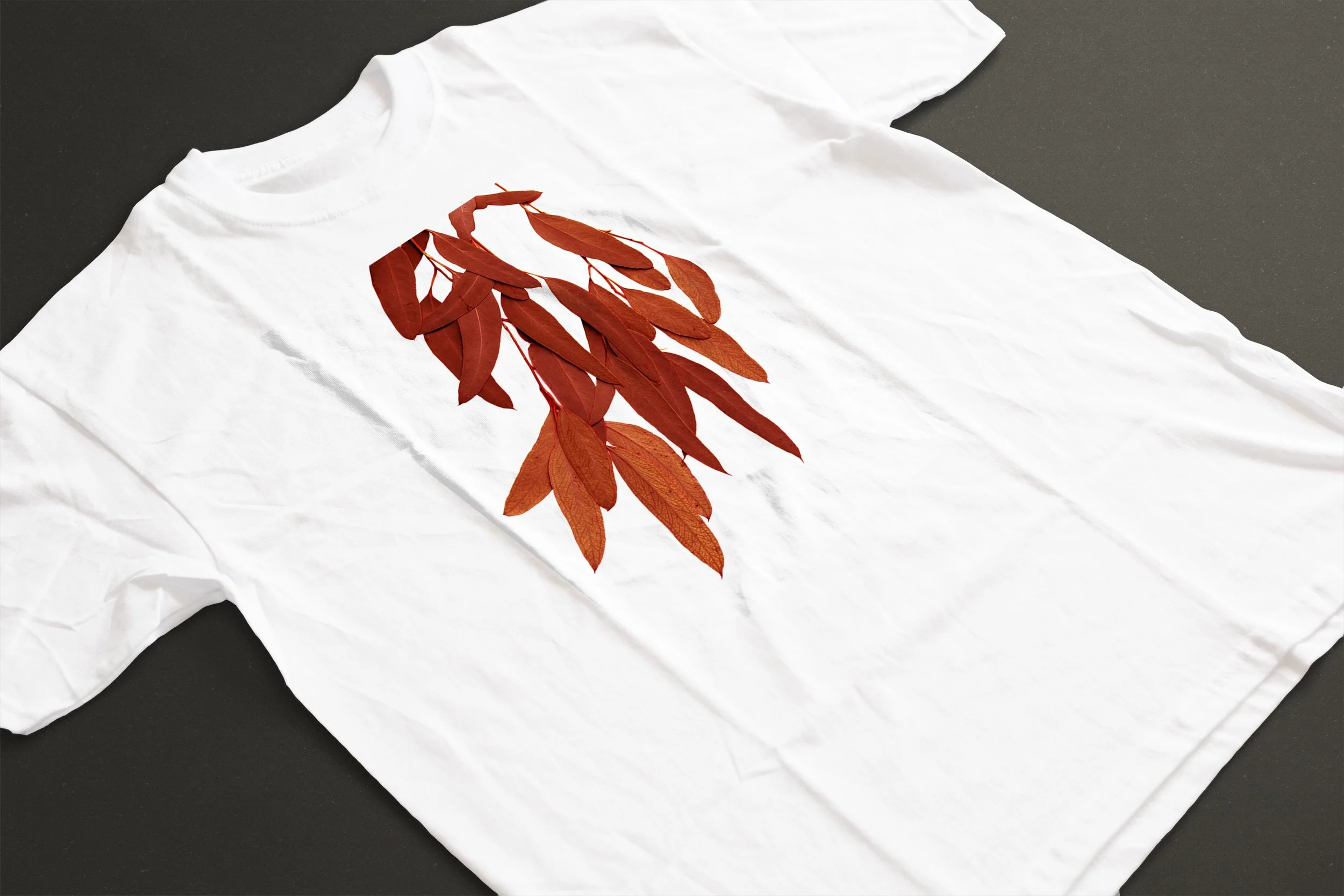 RED GUM LEAVES 03.jpg