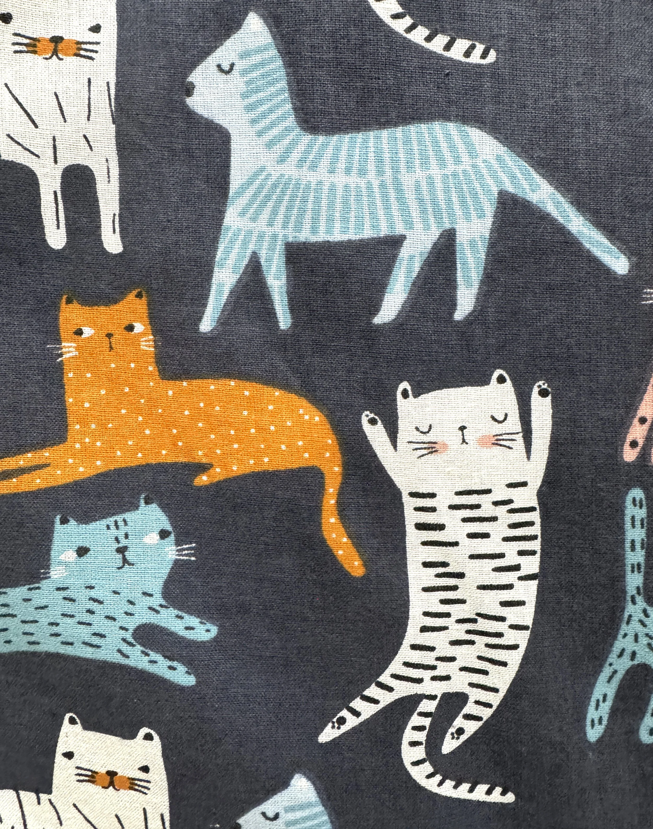 cats on blue close-up 01.jpg