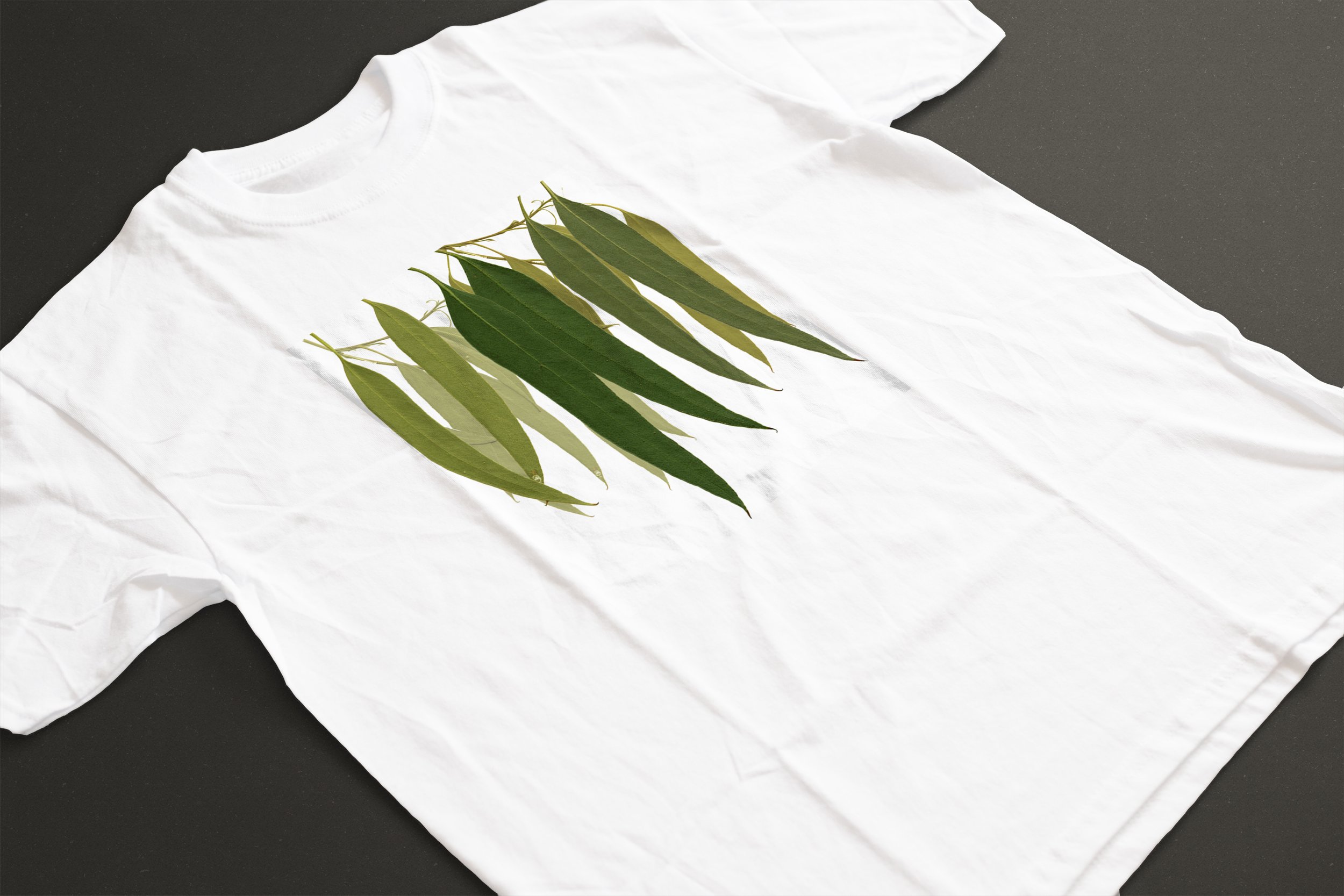 GREEN GUM LEAVES 04.jpg