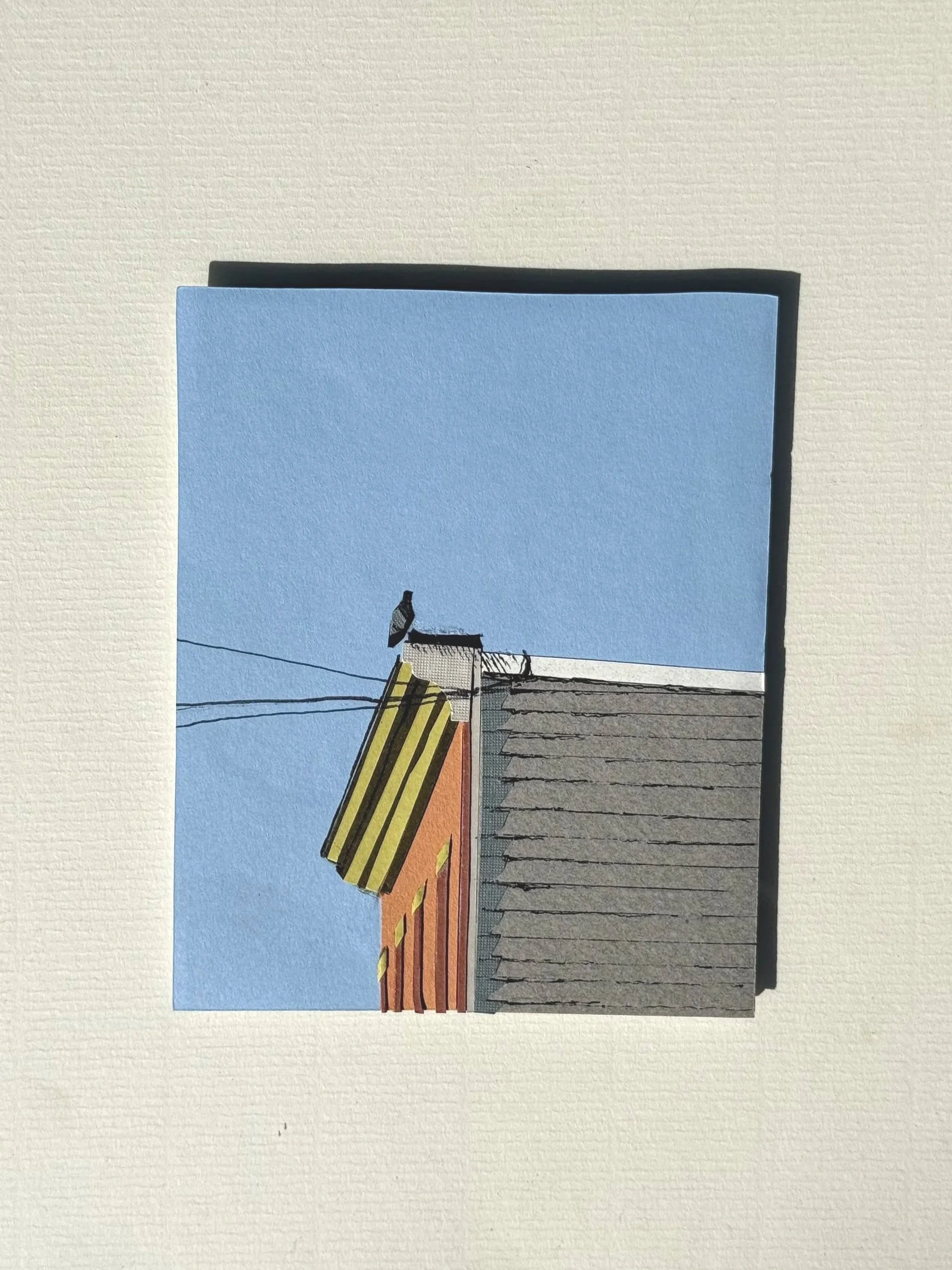 The Neighborhood (Pigeon Project)