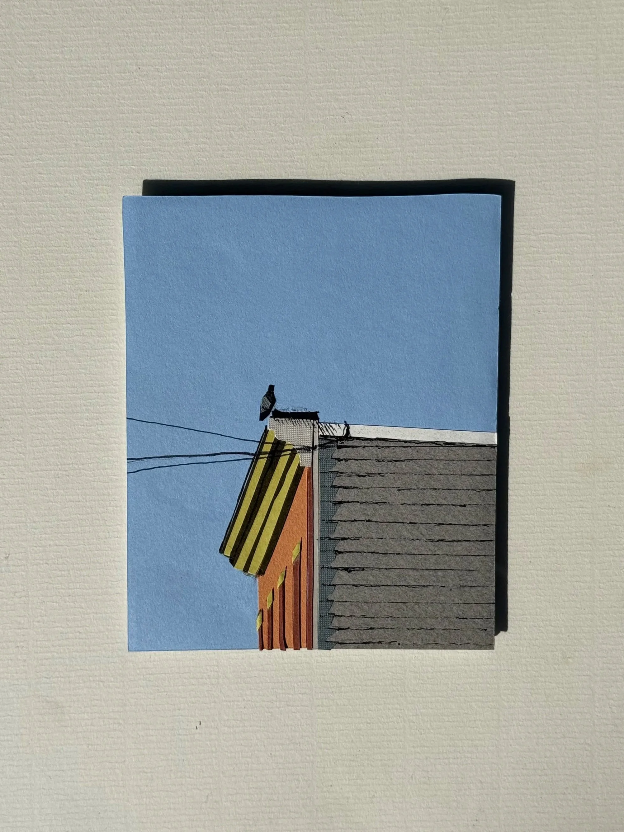 The Neighborhood (Pigeon Project)
