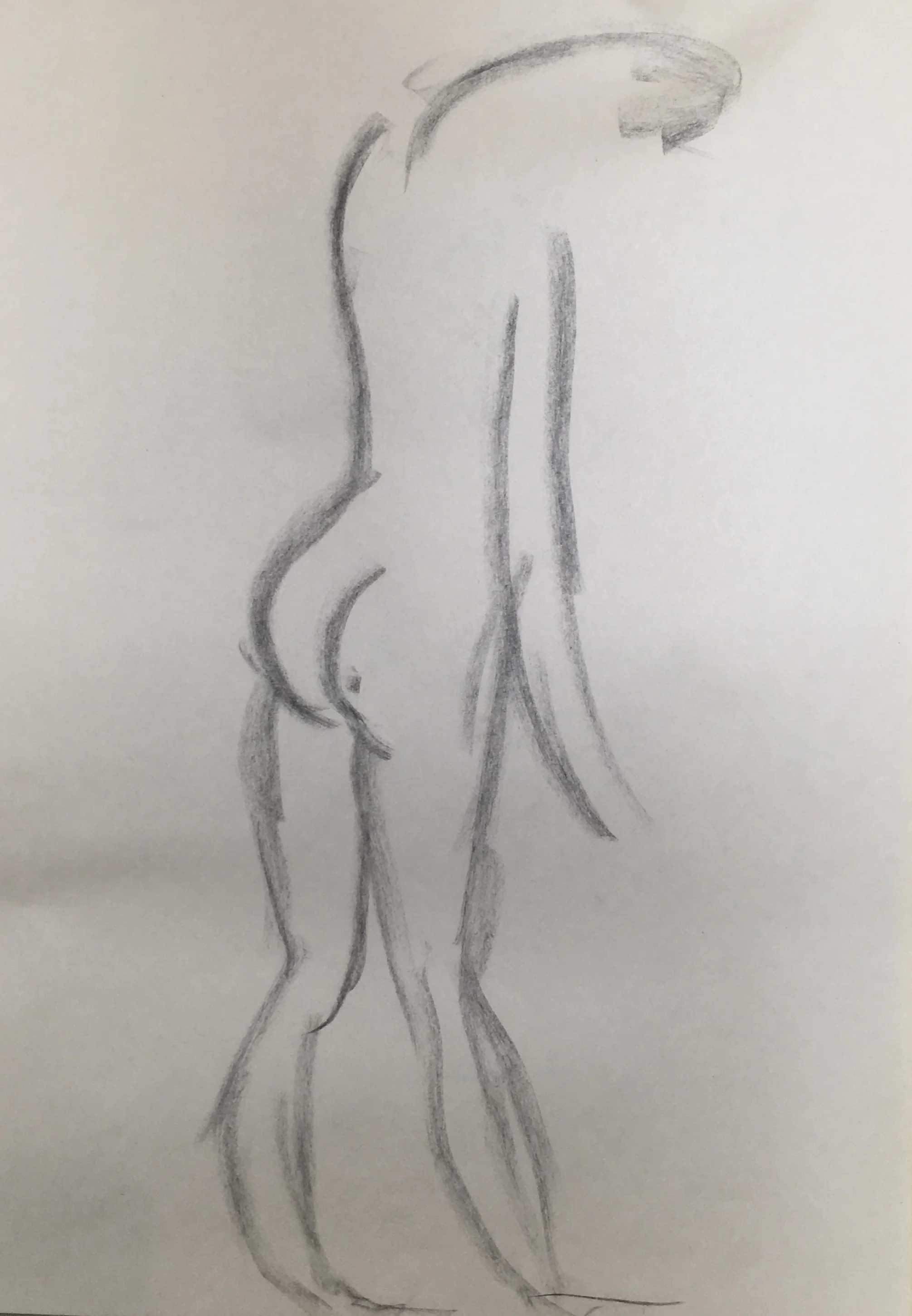 fullsizeoutput_8e99.jpeg