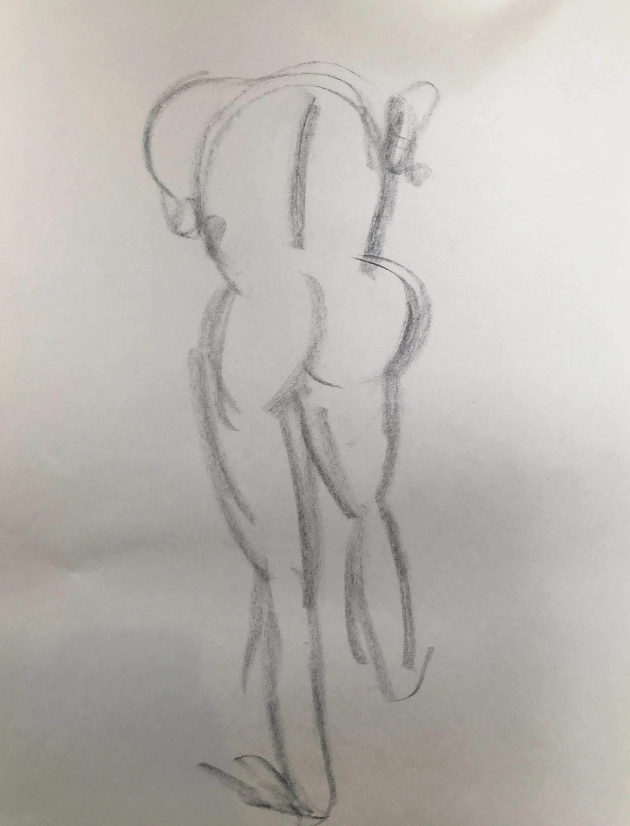 fullsizeoutput_8e9a.jpeg