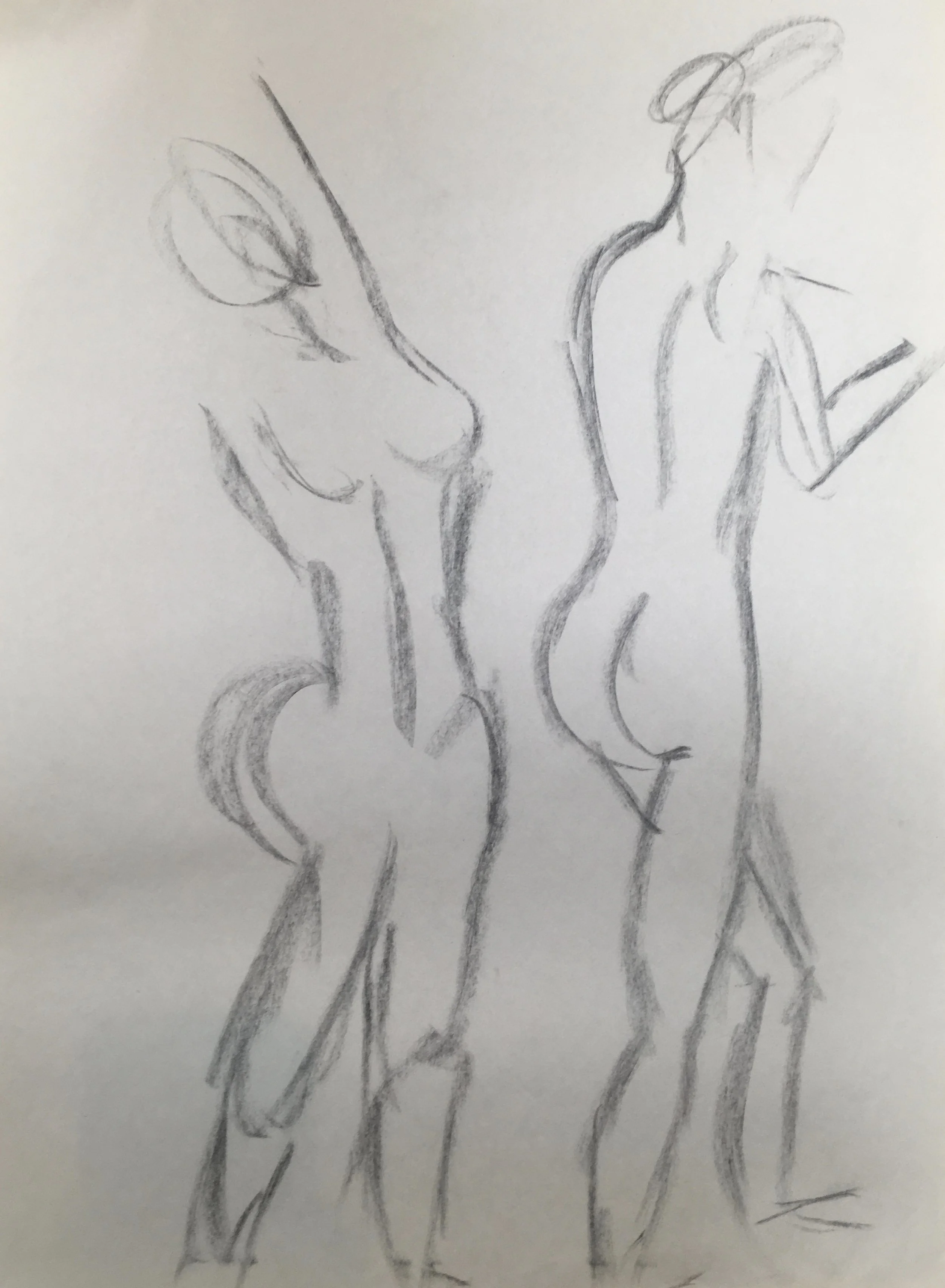 fullsizeoutput_8e9c.jpeg