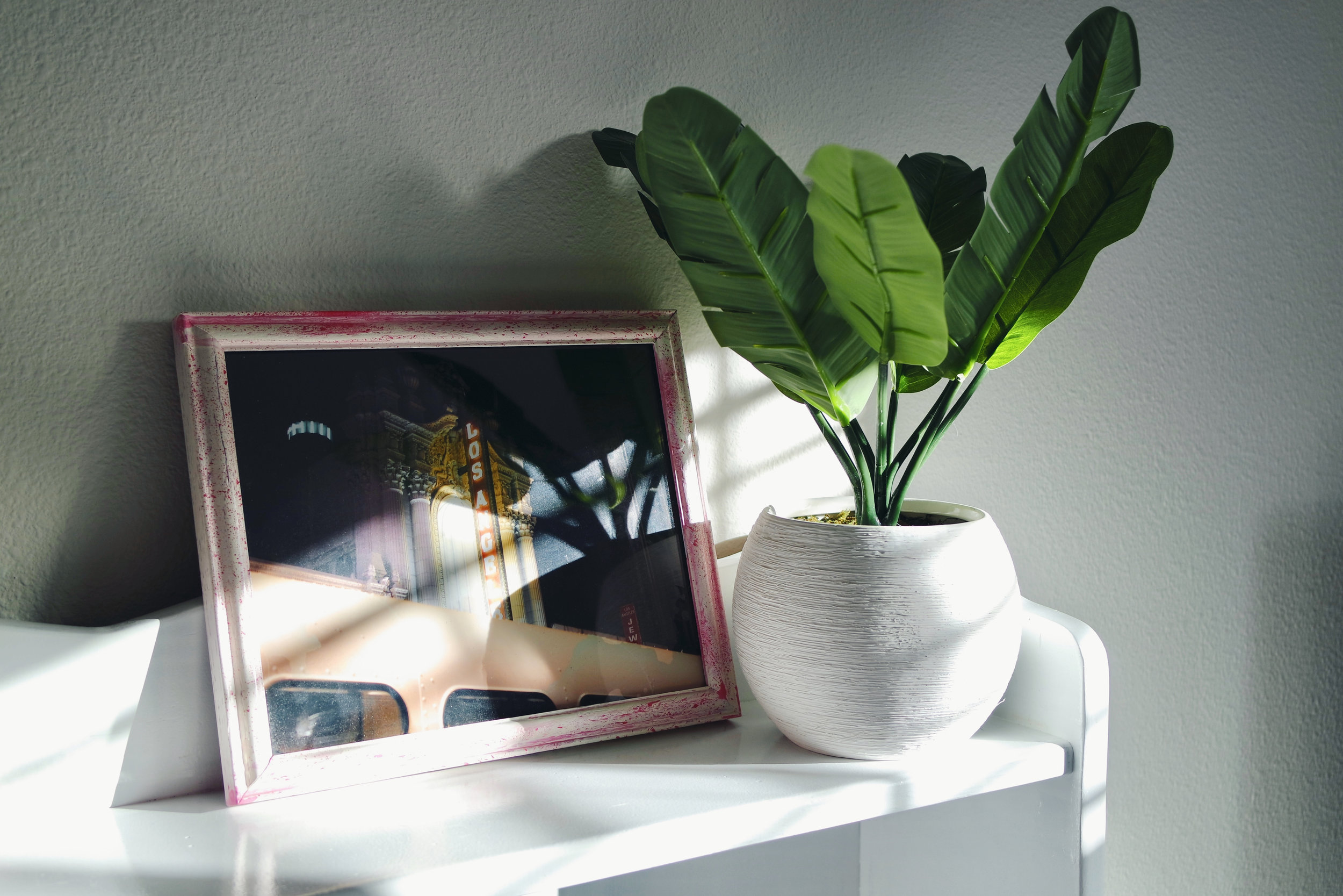 Plant & planter from Target.