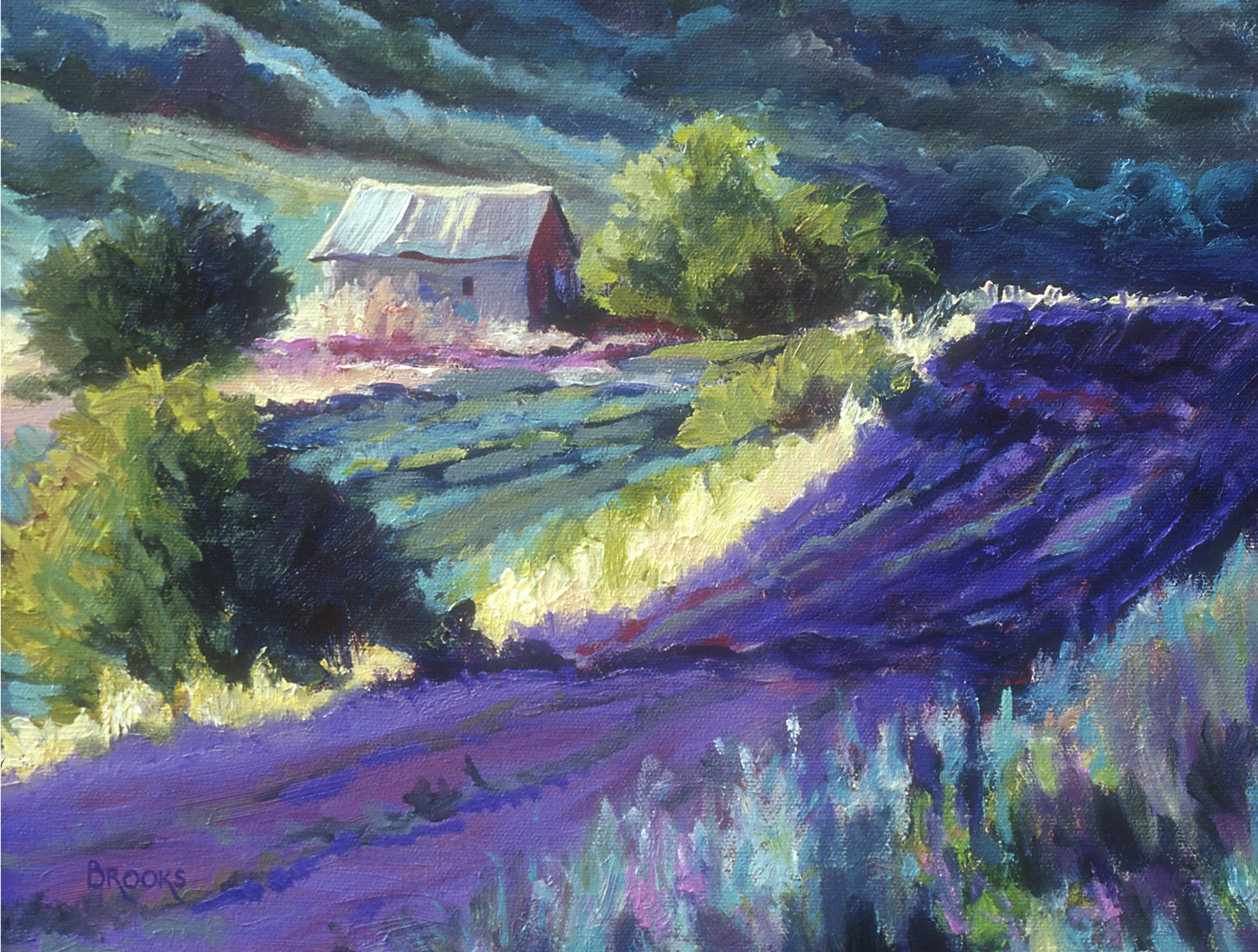 BROOKS 039 FORGOTTEN FIELD 12X16.jpg
