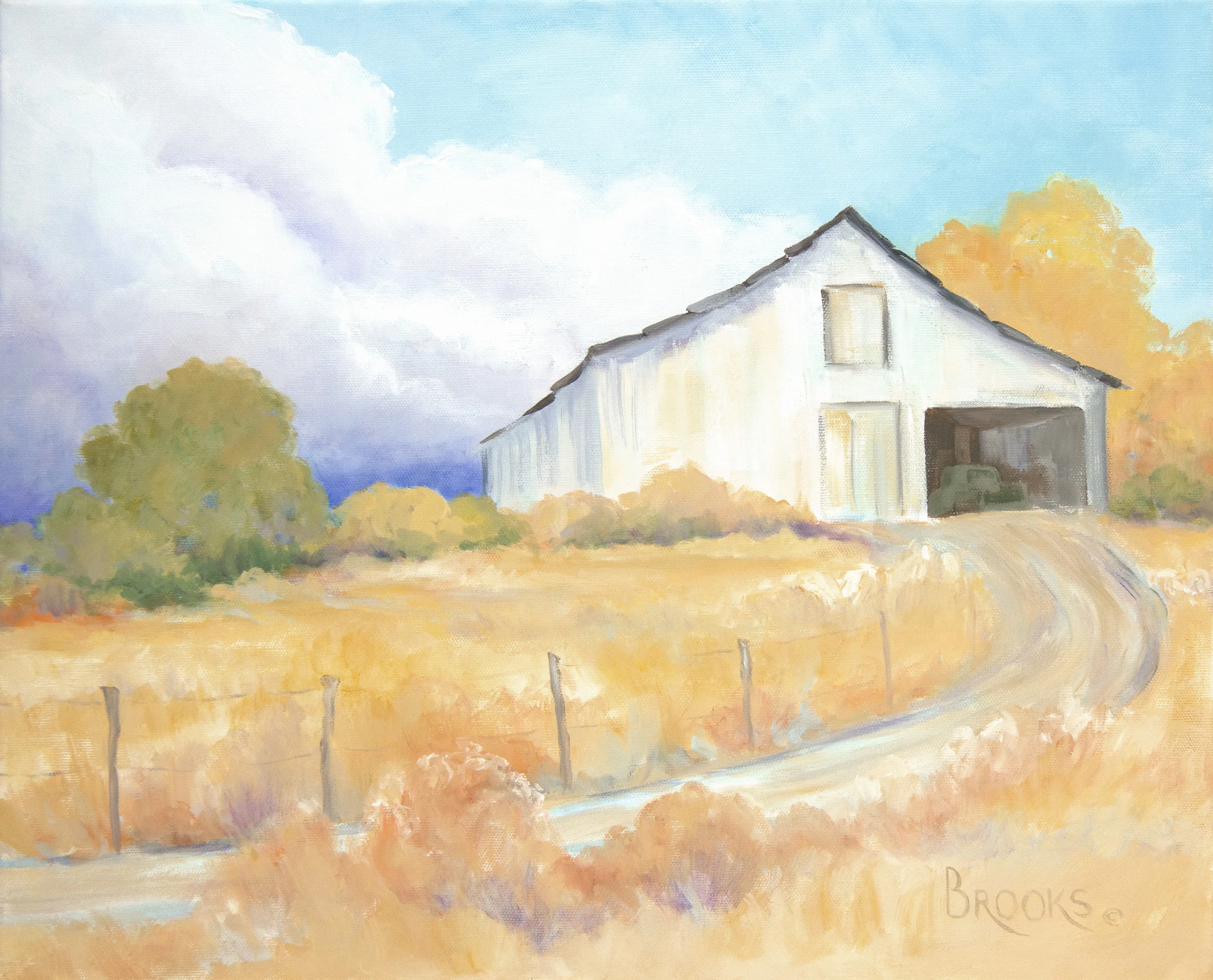 BROOKS 102 SOFT AUTUMN COLOR 11X14.jpg