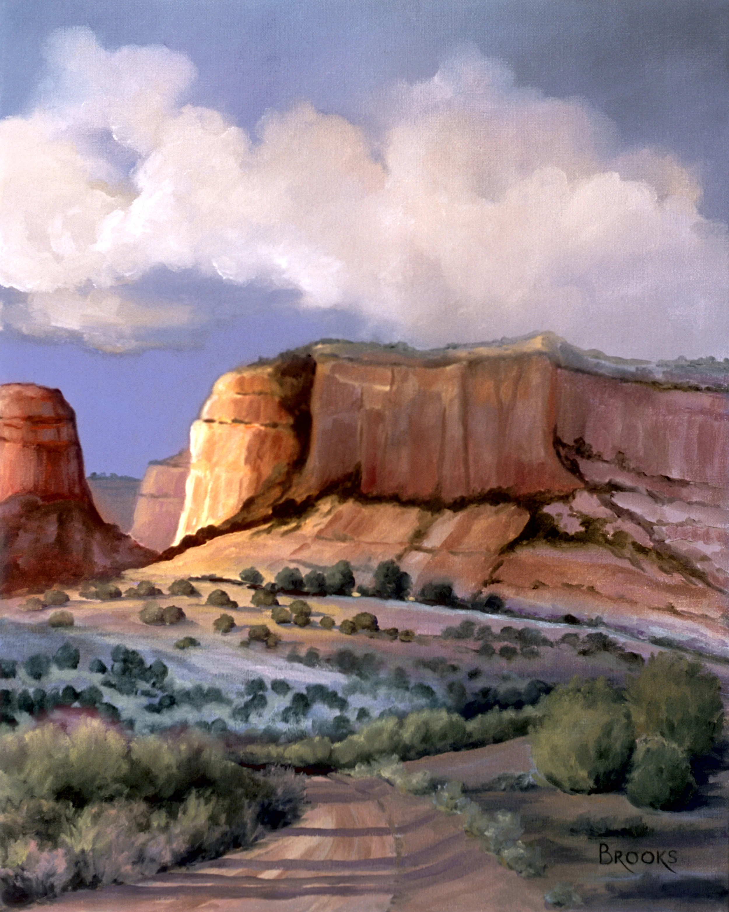 BROOKS 012 SEDONA SHADOWS 16X20.jpg