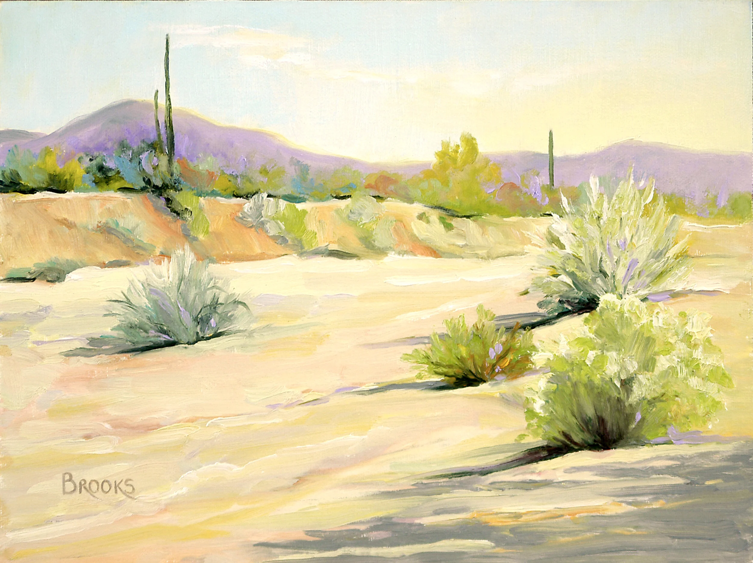 BROOKS 027 WARM WINTER LIGHT 9X12.jpg