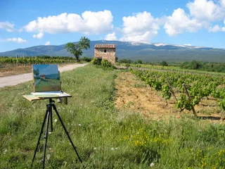 Provence Plein Air.jpeg