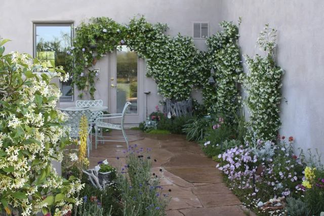 New Garden.jpg