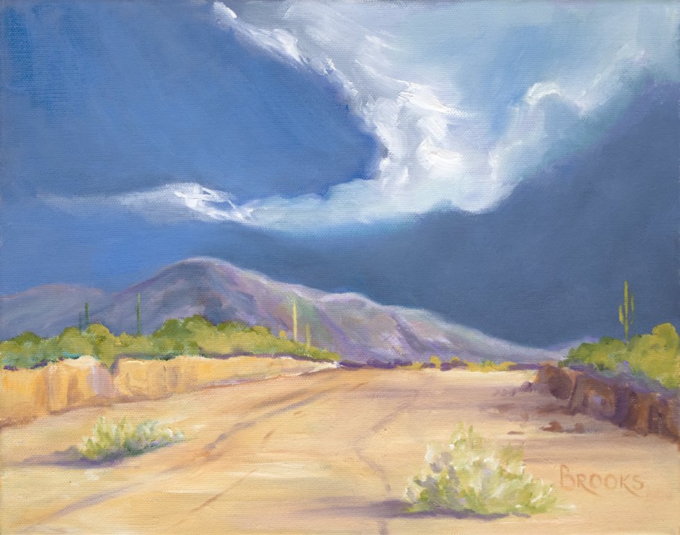 BROOKS 124 GATHERING STORM 11X14.jpg