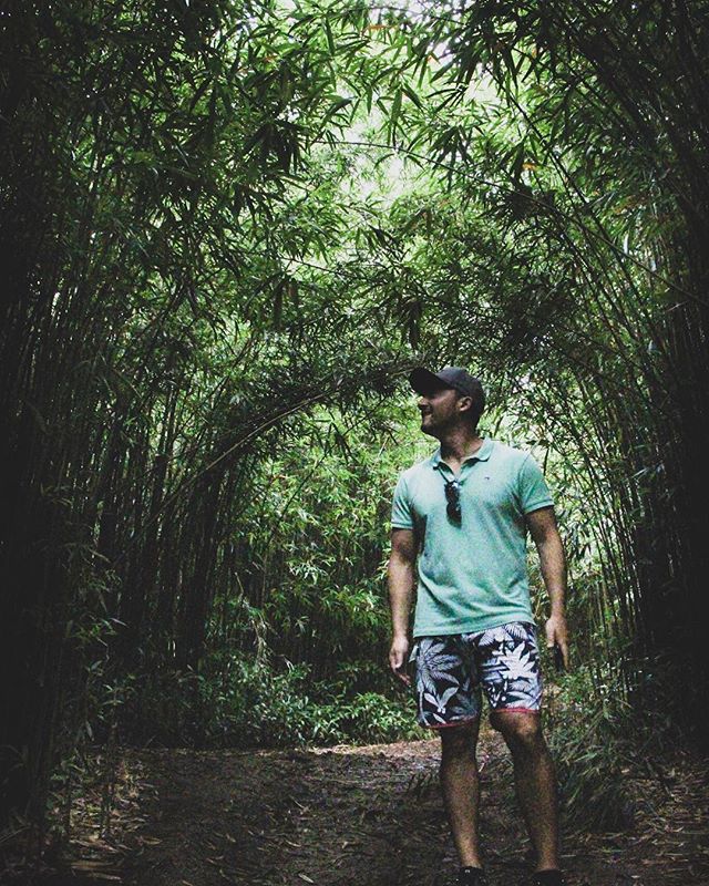 Road to Hana. An easy 20 minute hike through a bamboo forest and to get to waterfall nirvana. @andrewmagana113
&bull;&bull;&bull;&bull;&bull;&bull;&bull;&bull; &bull;&bull;&bull; &bull;&bull;&bull; &bull;&bull;
&bull;
&bull;
&bull;
&bull;
&bull; #haw