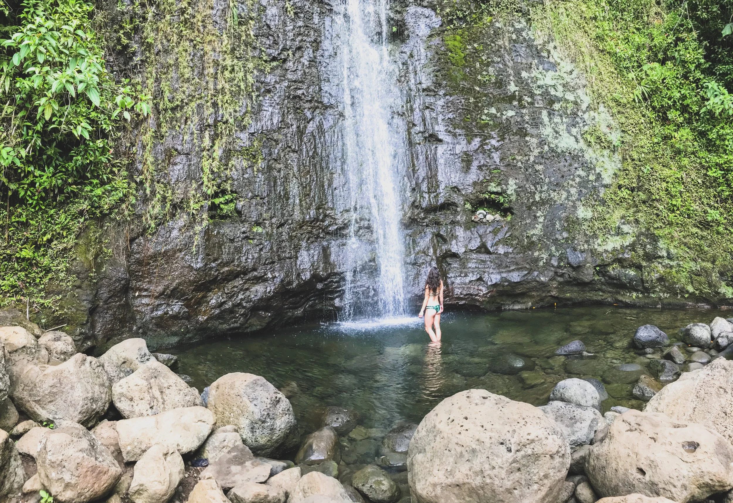 Hiking the Manoa Falls Trail | Oahu, Hawaii