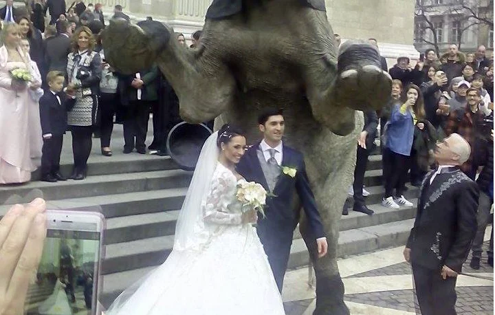 Circus wedding Budapest © Richter family