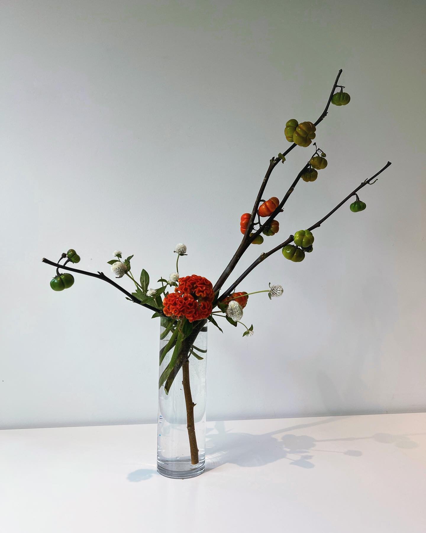 6th attempt at #ikebana. 3rd time doing #nageire. Happy autumn everyone 🥰🍂🍁🎃. Really not looking forward to the Toronto cold&mdash;I was not built for this weather 😭🥶!! | Pumpkin on a stick (solanum integrifolium), cockscomb (celosia cristata)
